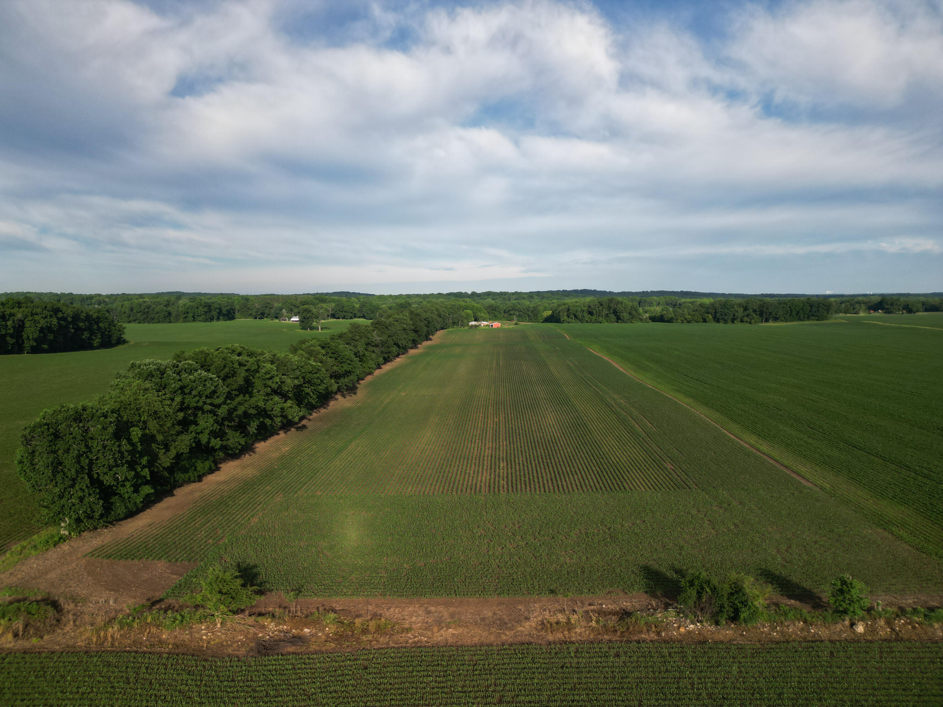 0 French Road Property Photo 6
