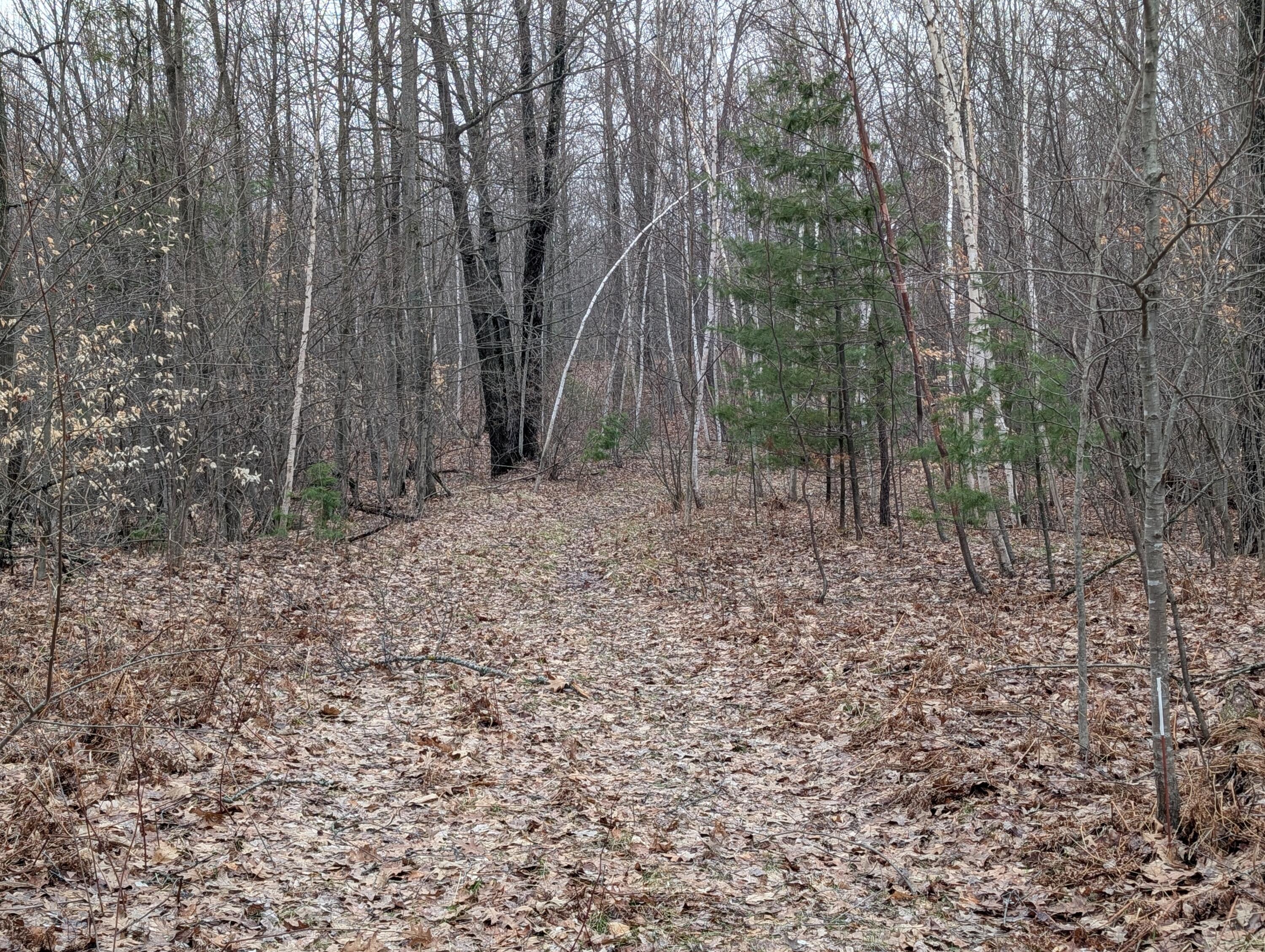 21 Mile Road Property Photo 10
