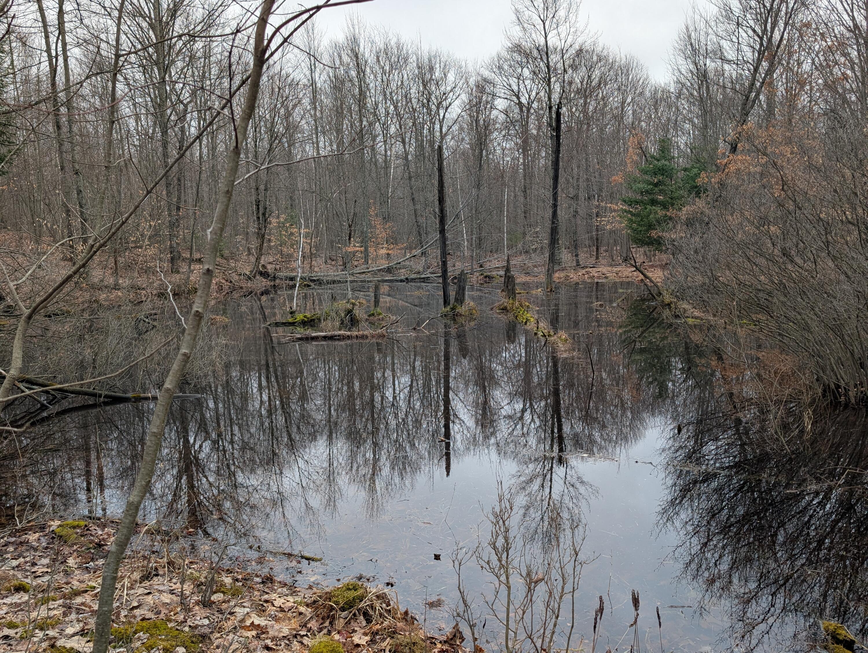 21 Mile Road Property Photo 11