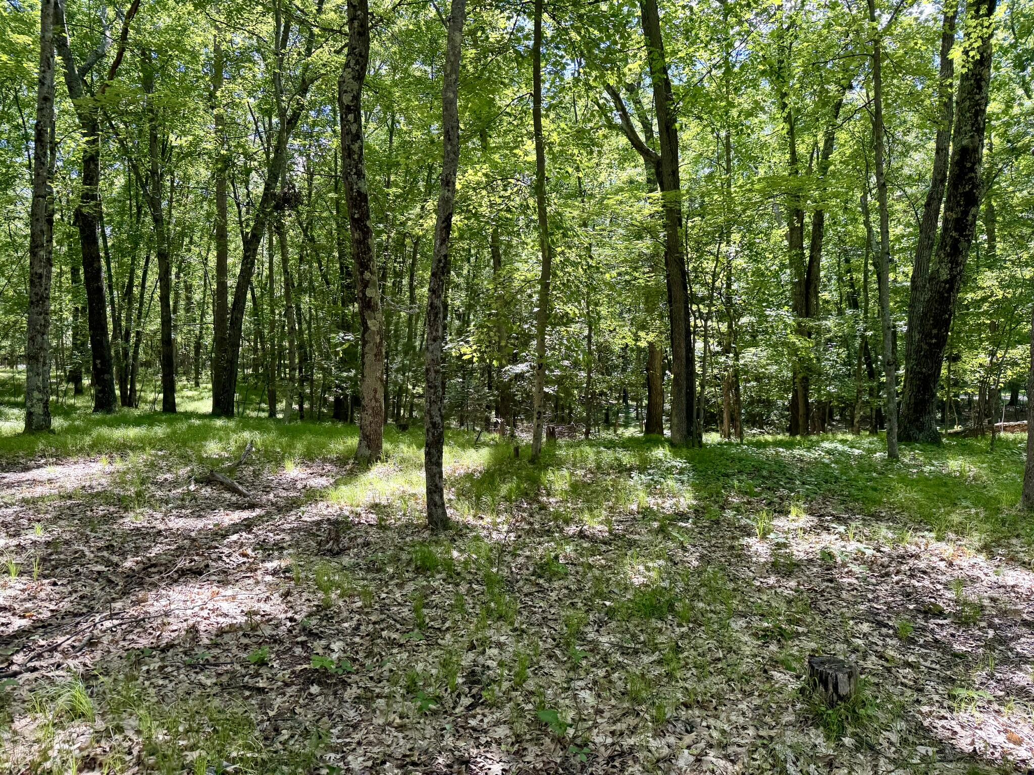 6922 W Twin Lake Drive Property Photo 42