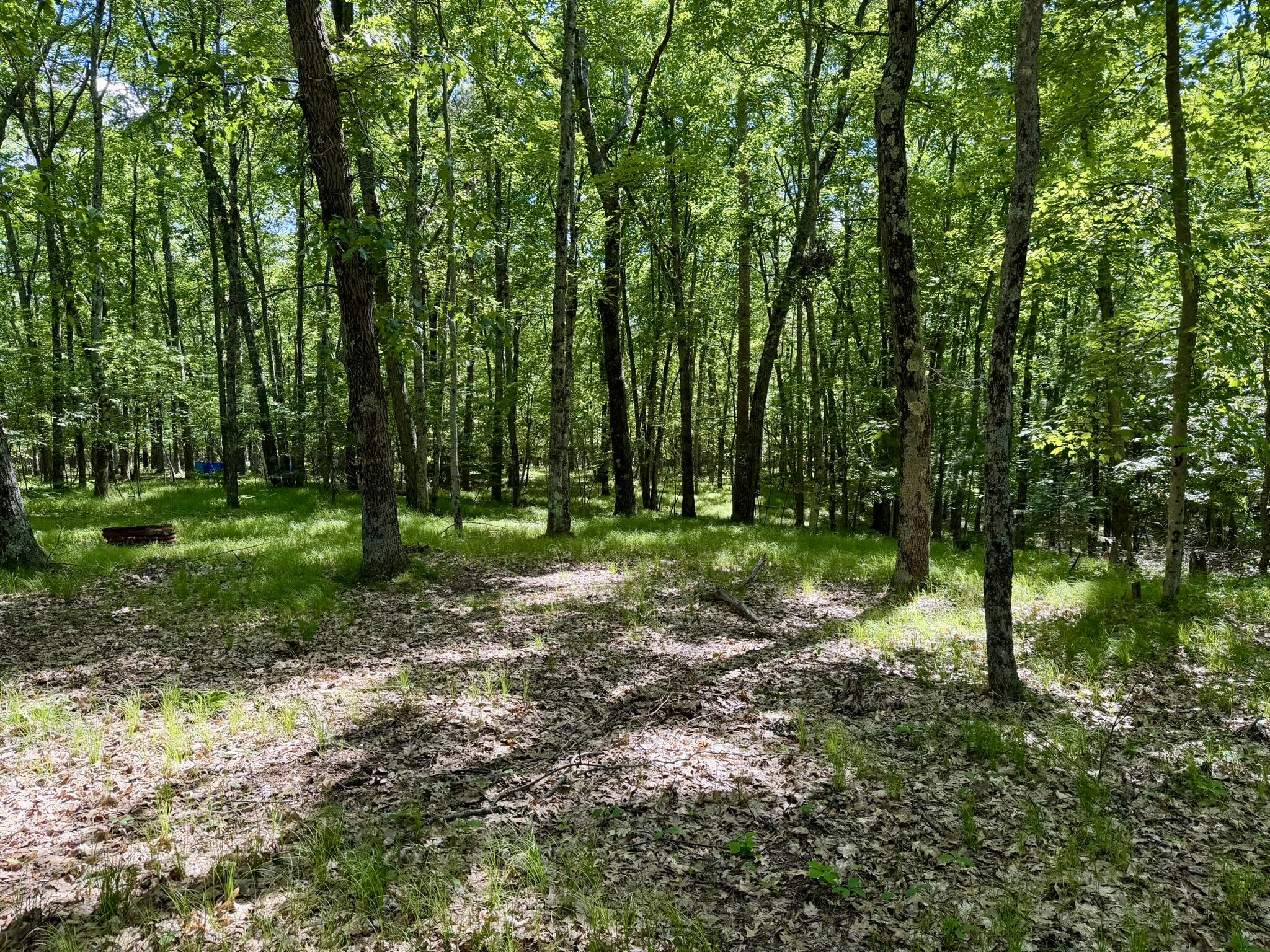 6922 W Twin Lake Drive Property Photo 43