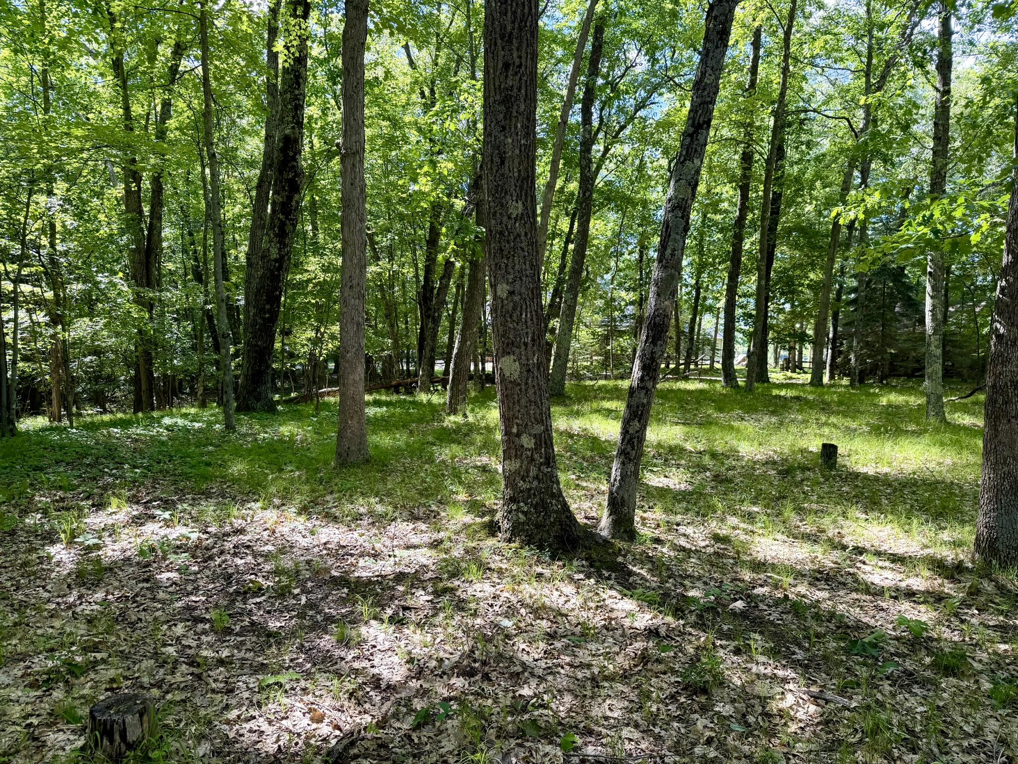 6922 W Twin Lake Drive Property Photo 44