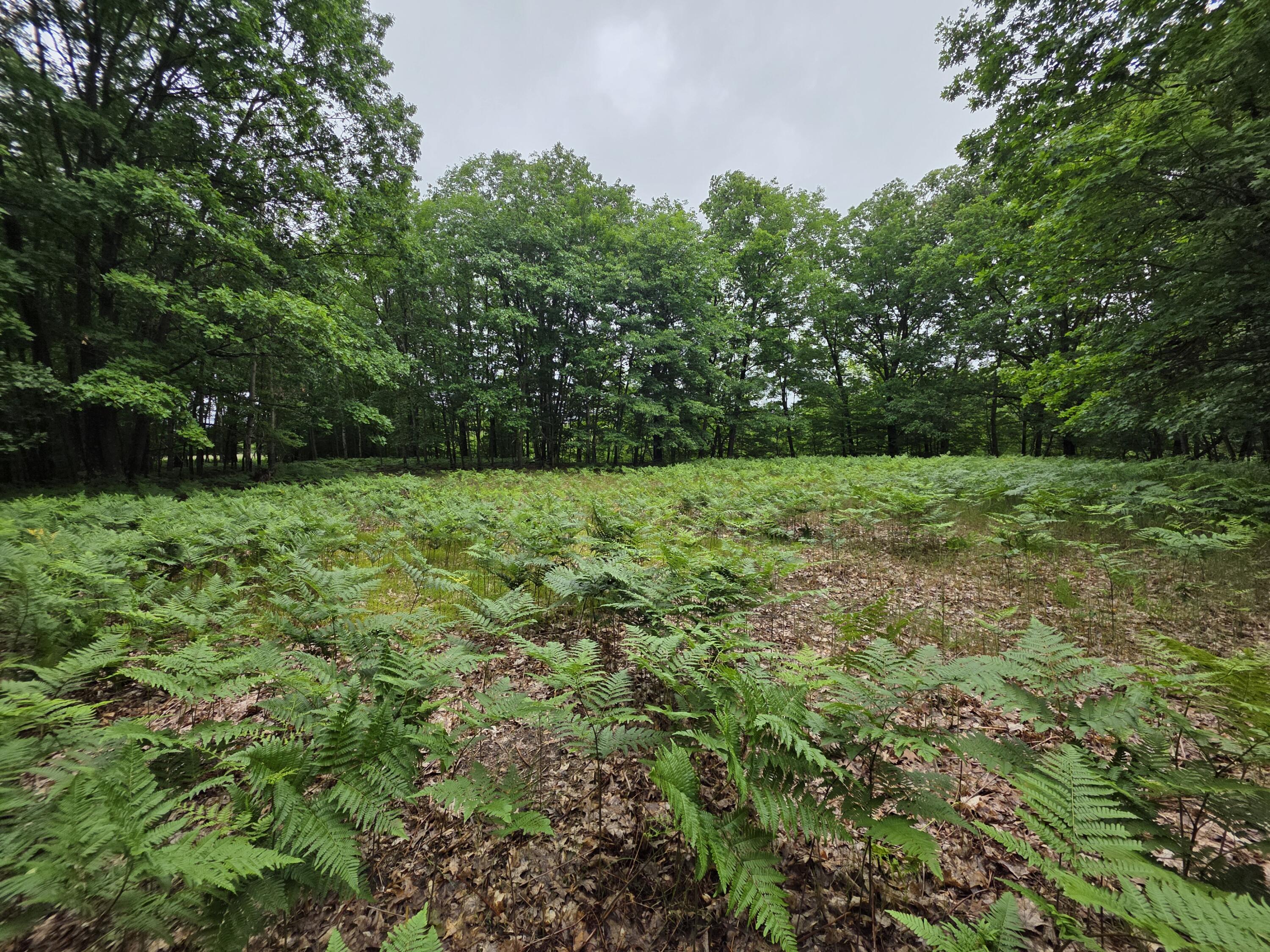 Madison Road Property Photo 5