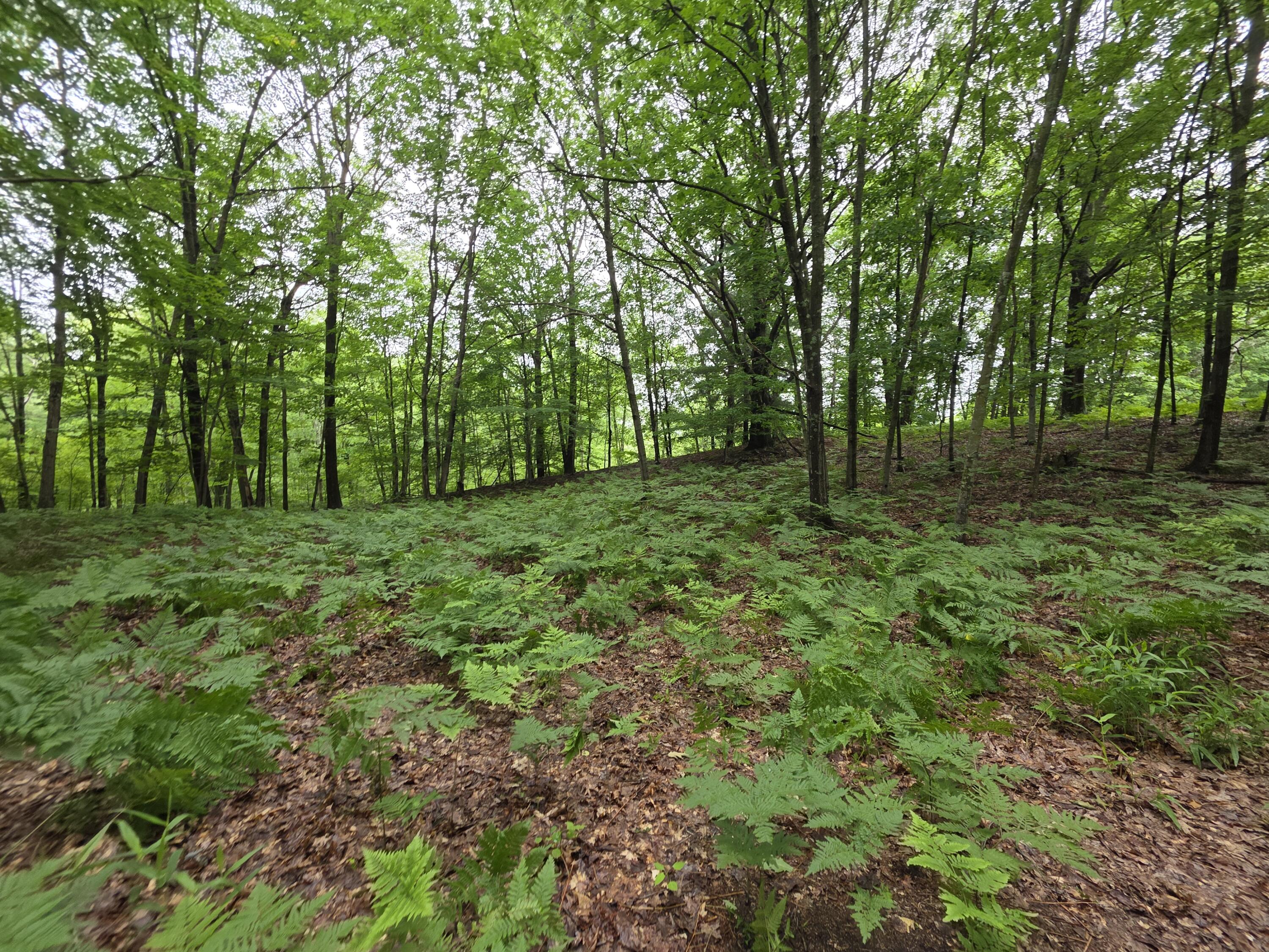 Madison Road Property Photo 9