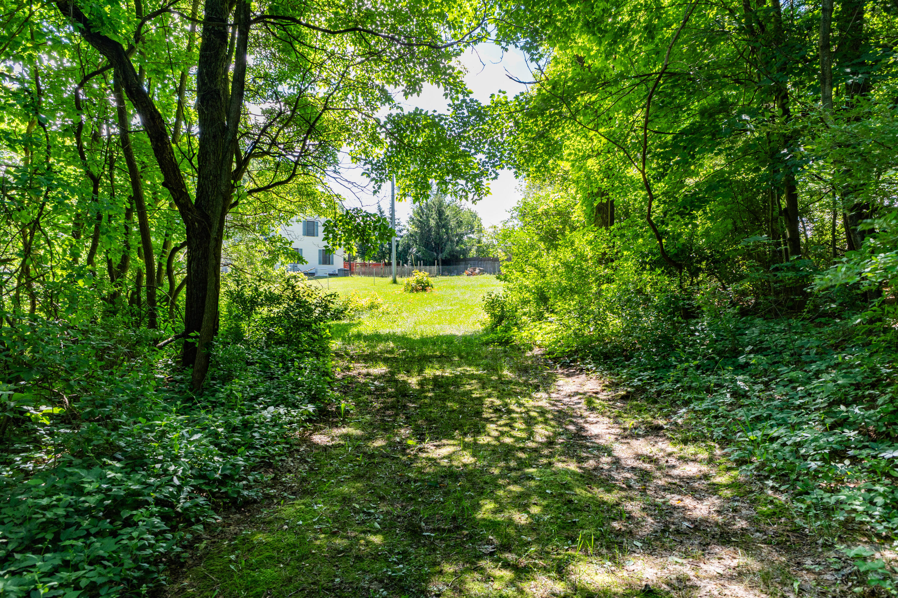 0 Stadium Drive Property Photo 1