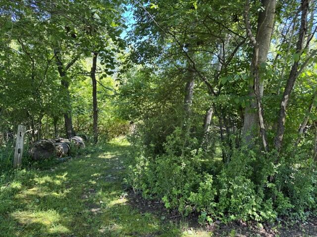 1021 Orchard Avenue Property Photo 21