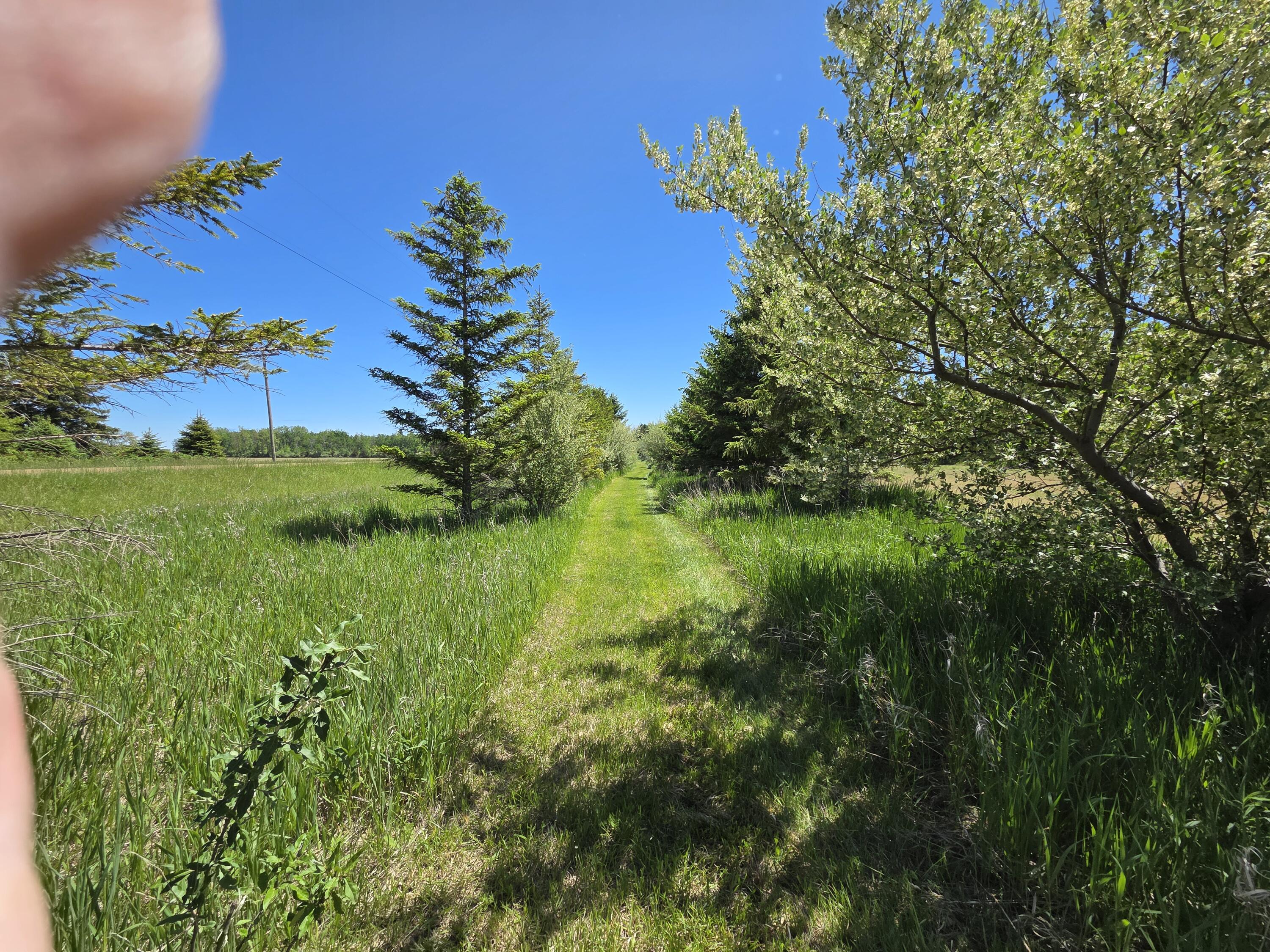 Crockard Property Photo 6