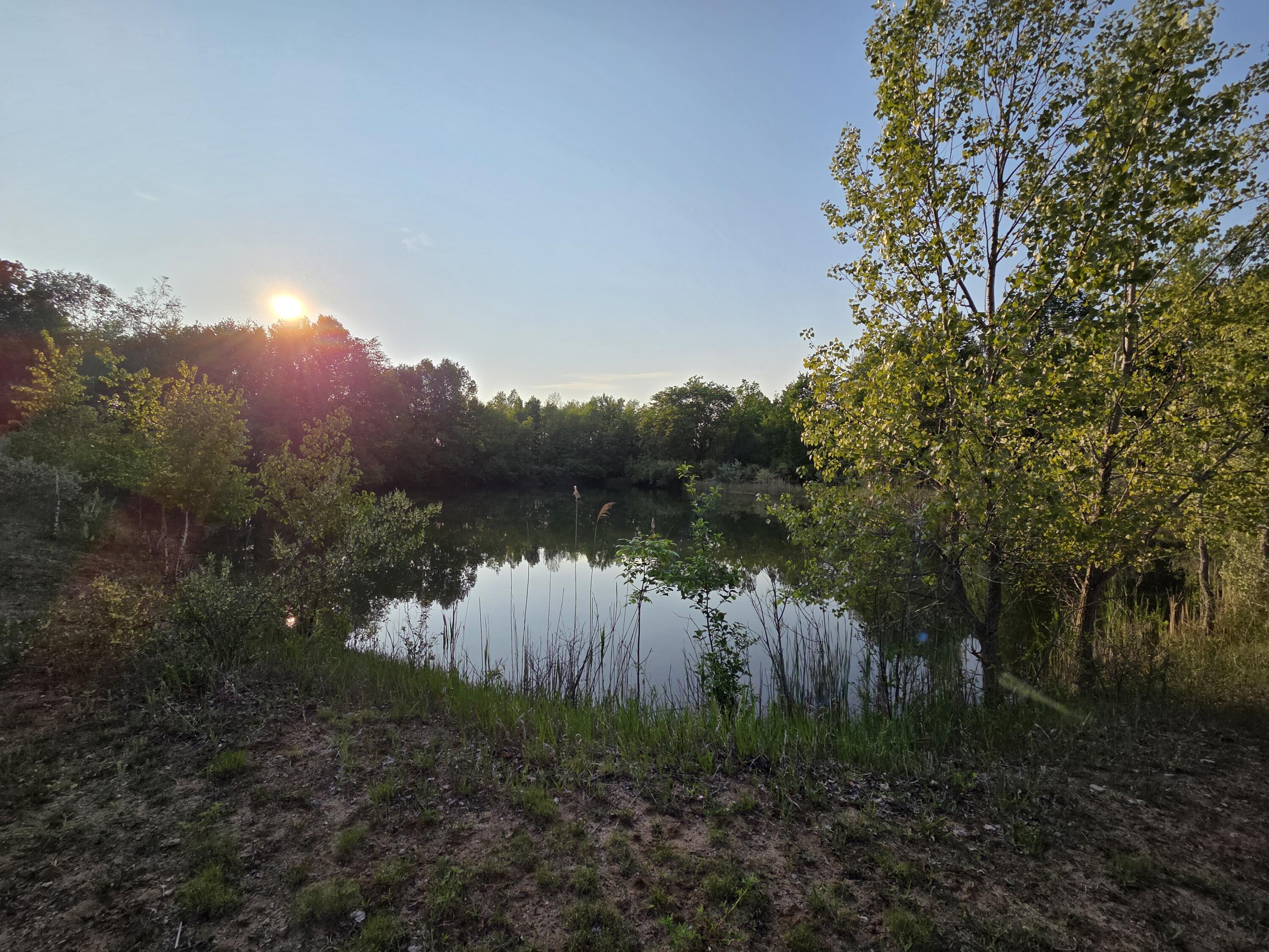 Crockard Property Photo 25