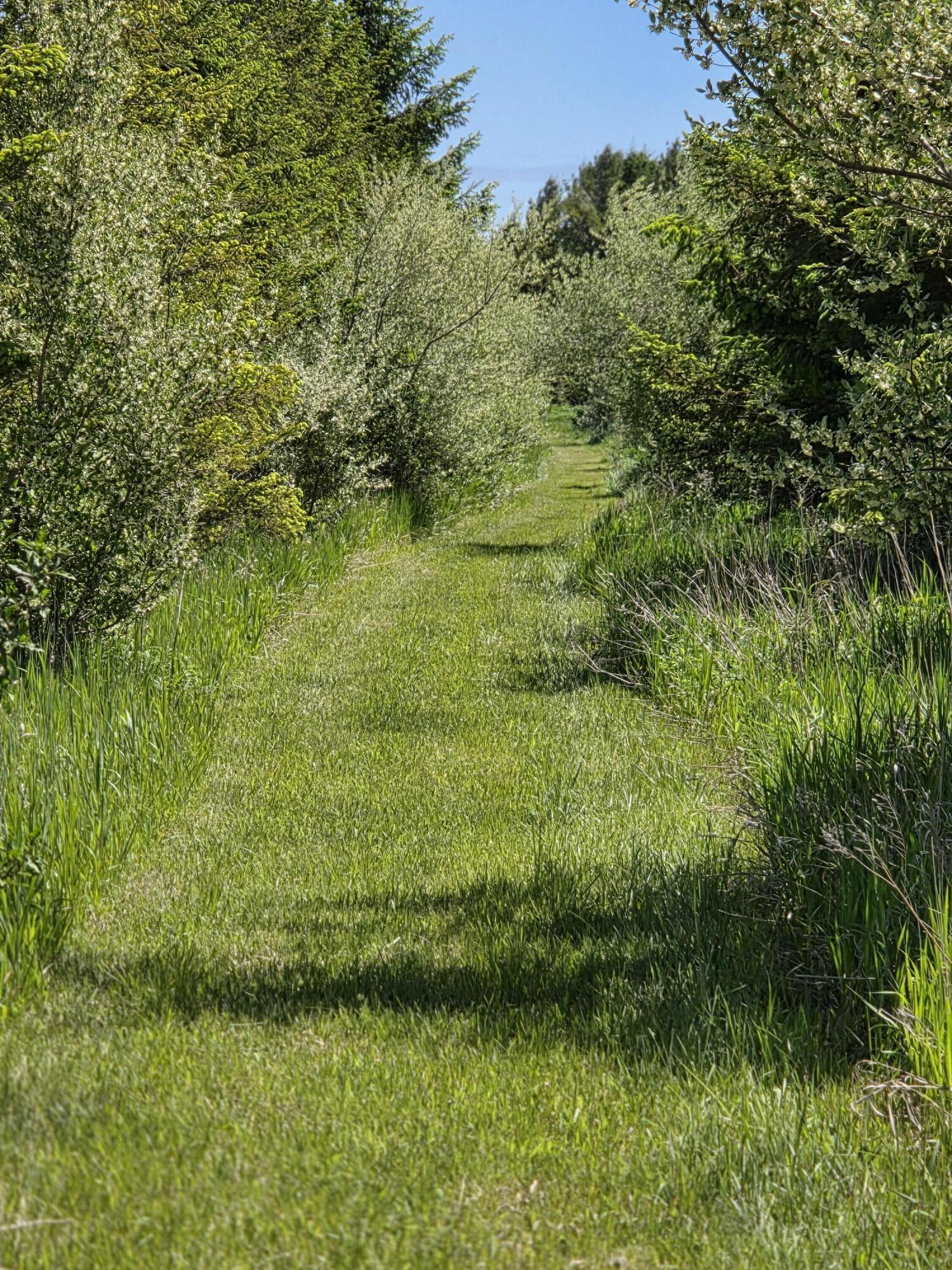 Crockard Property Photo 27