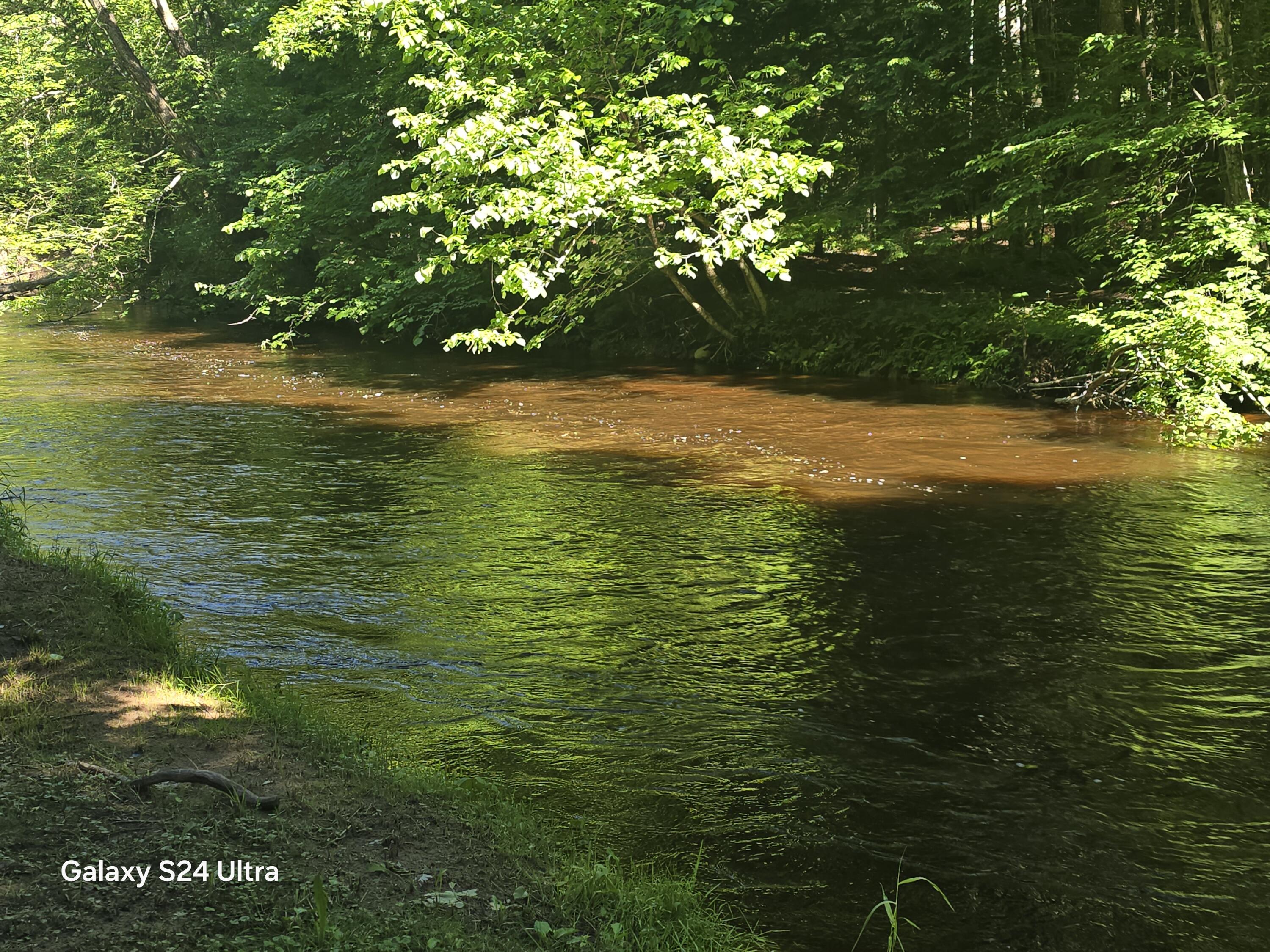 7455 Mcclellan Road Property Photo 15