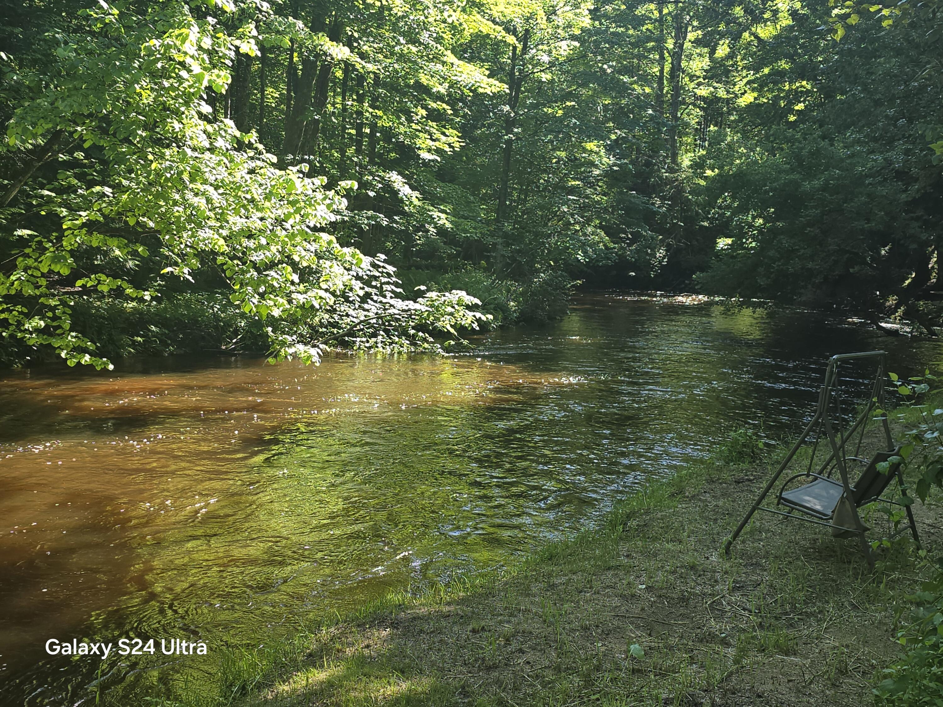 7455 Mcclellan Road Property Photo 16