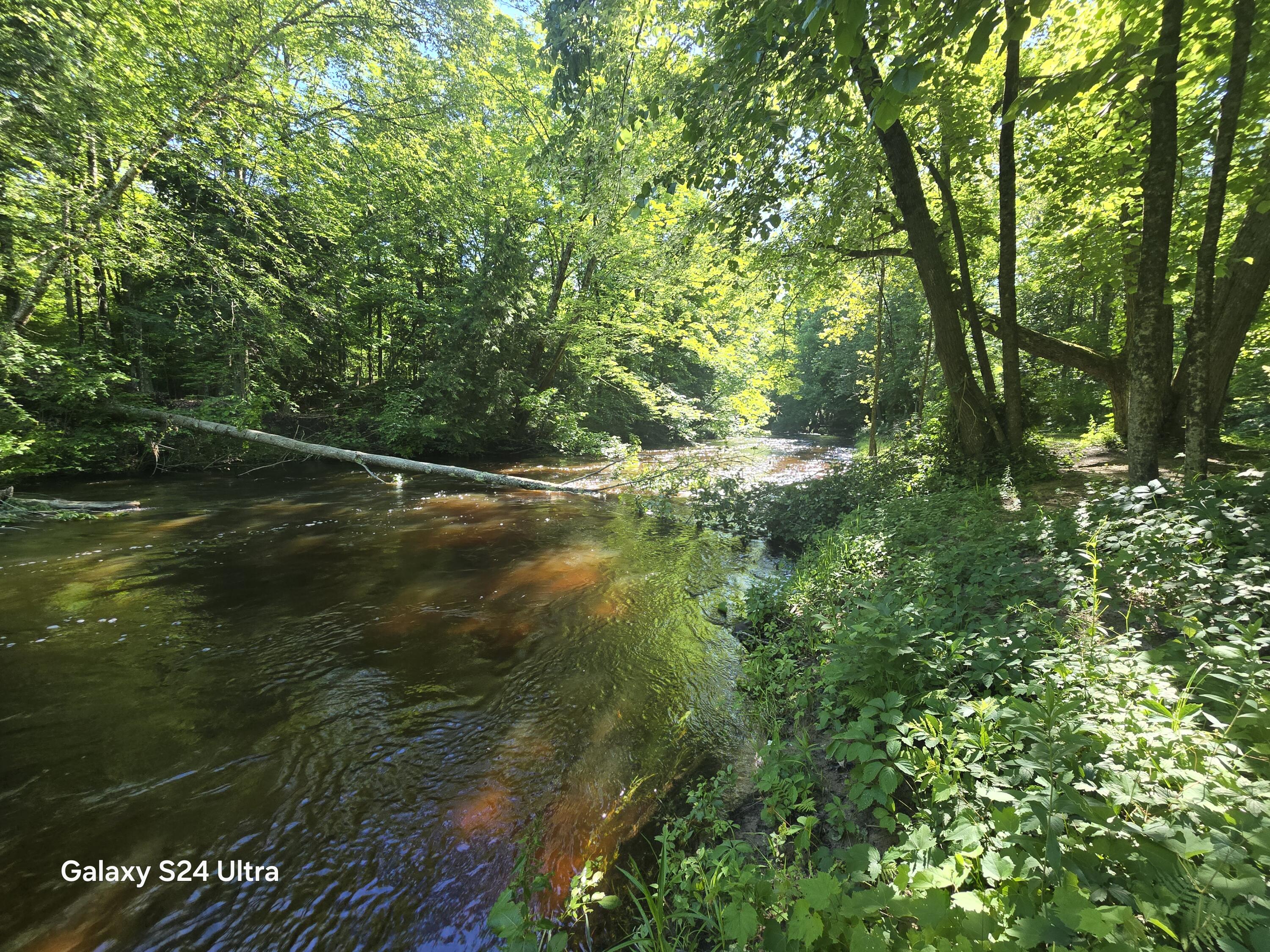 7455 Mcclellan Road Property Photo 18