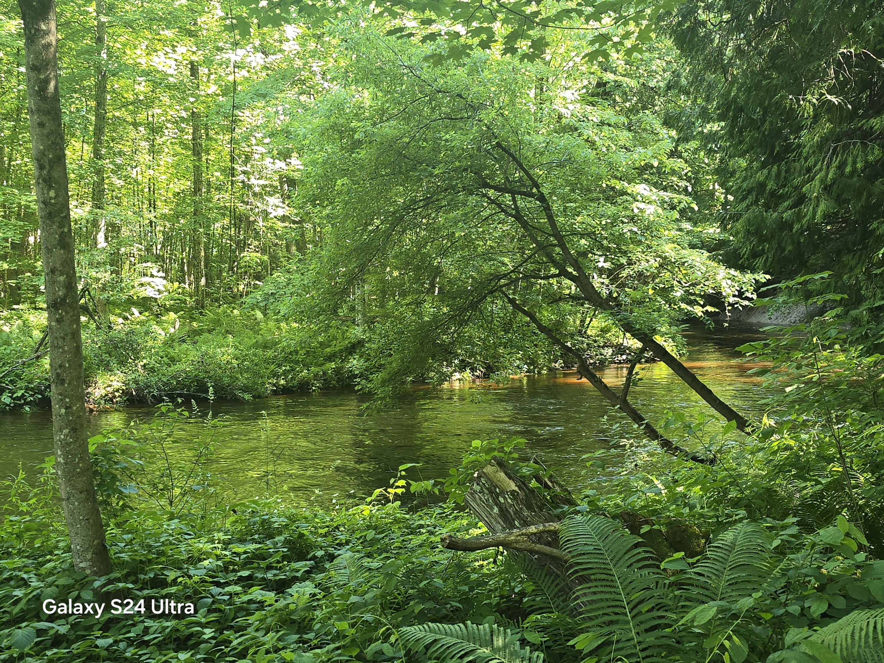 7455 Mcclellan Road Property Photo 19