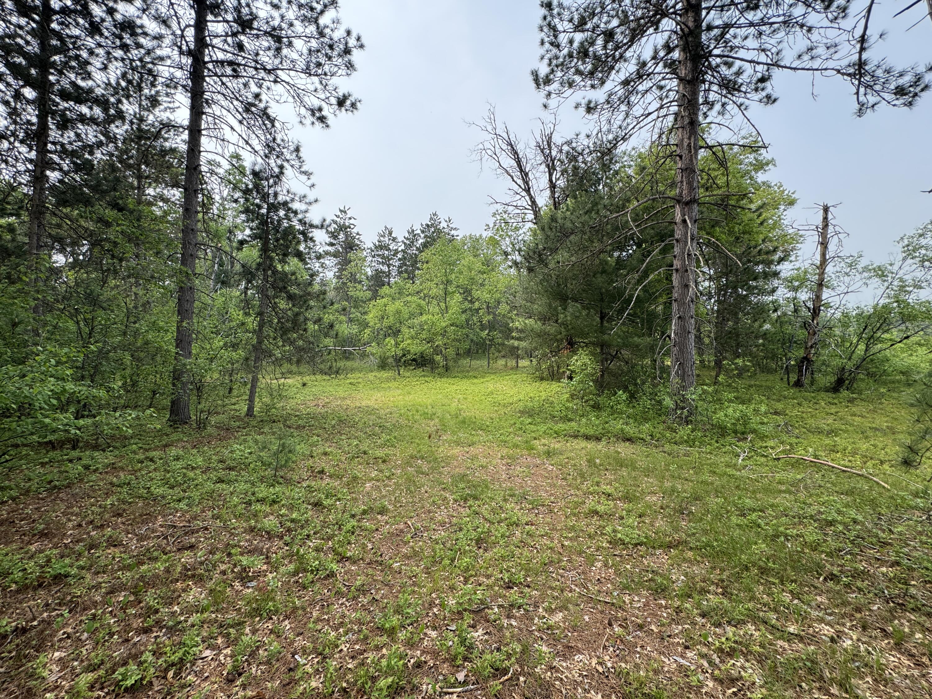 Parcel B Cherry Creek Trail Property Photo 14