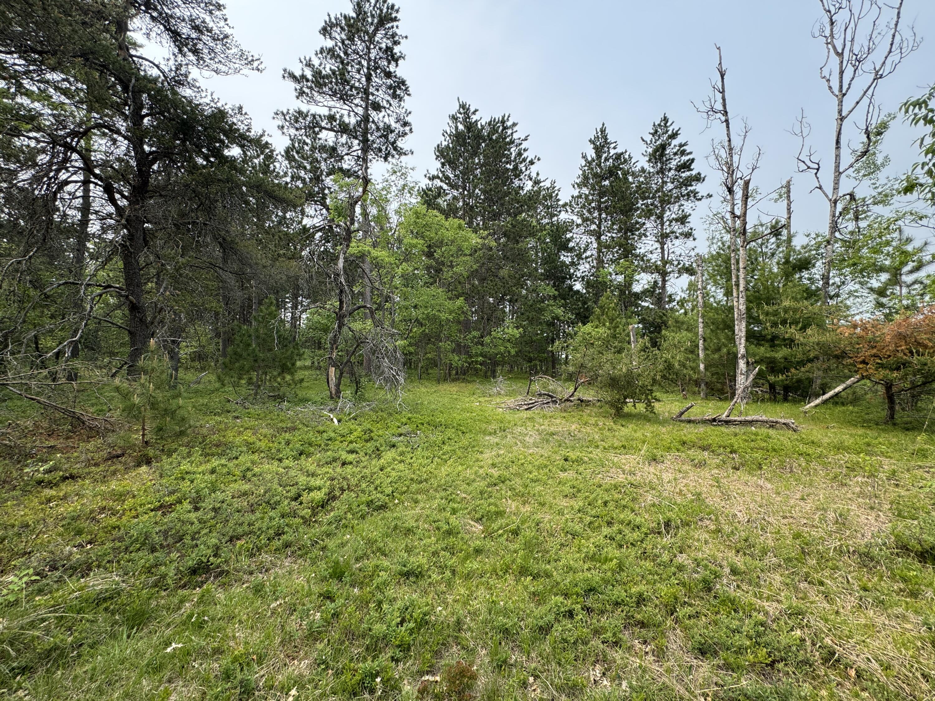 Parcel B Cherry Creek Trail Property Photo 16