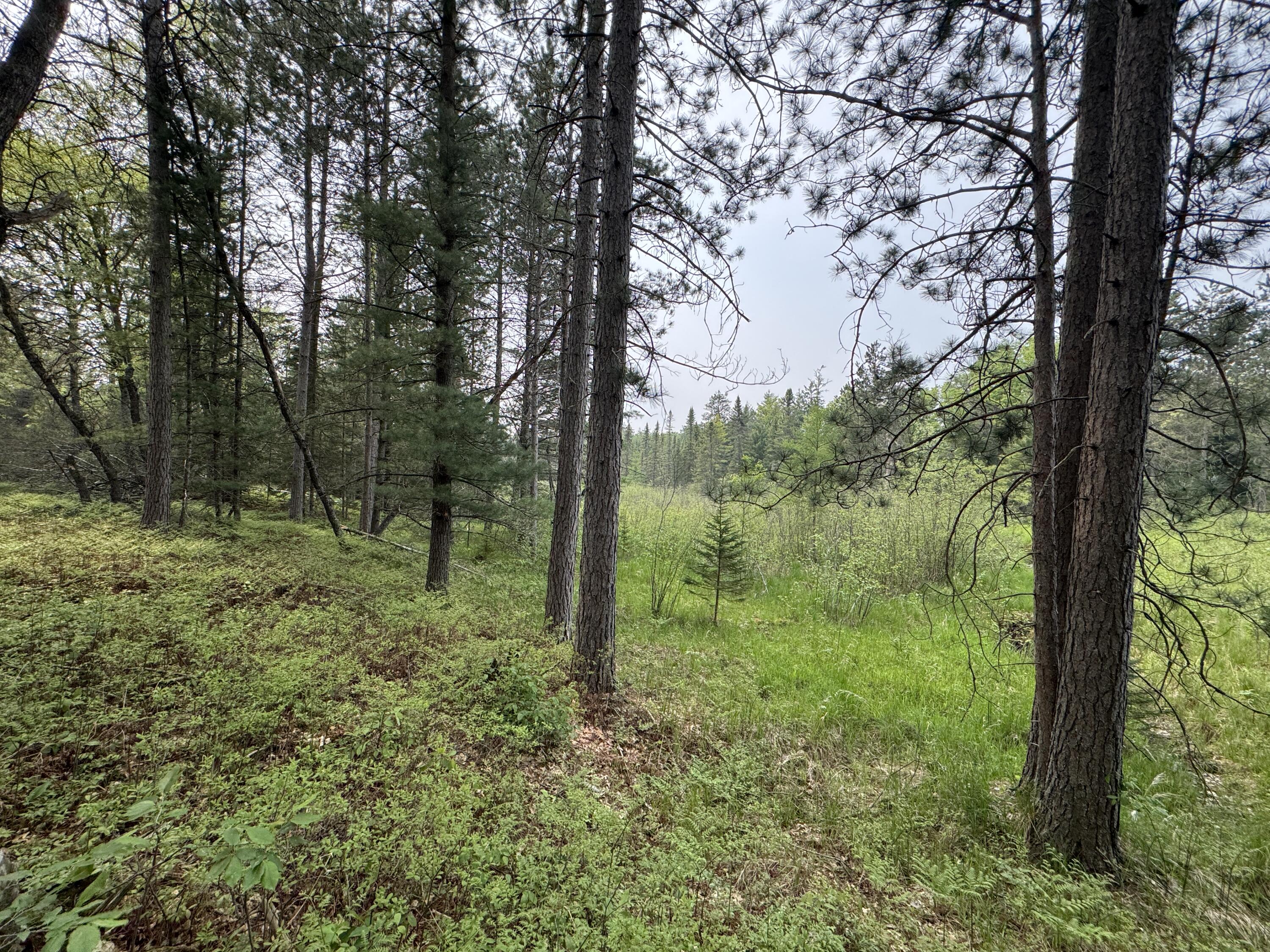 Parcel B Cherry Creek Trail Property Photo 18