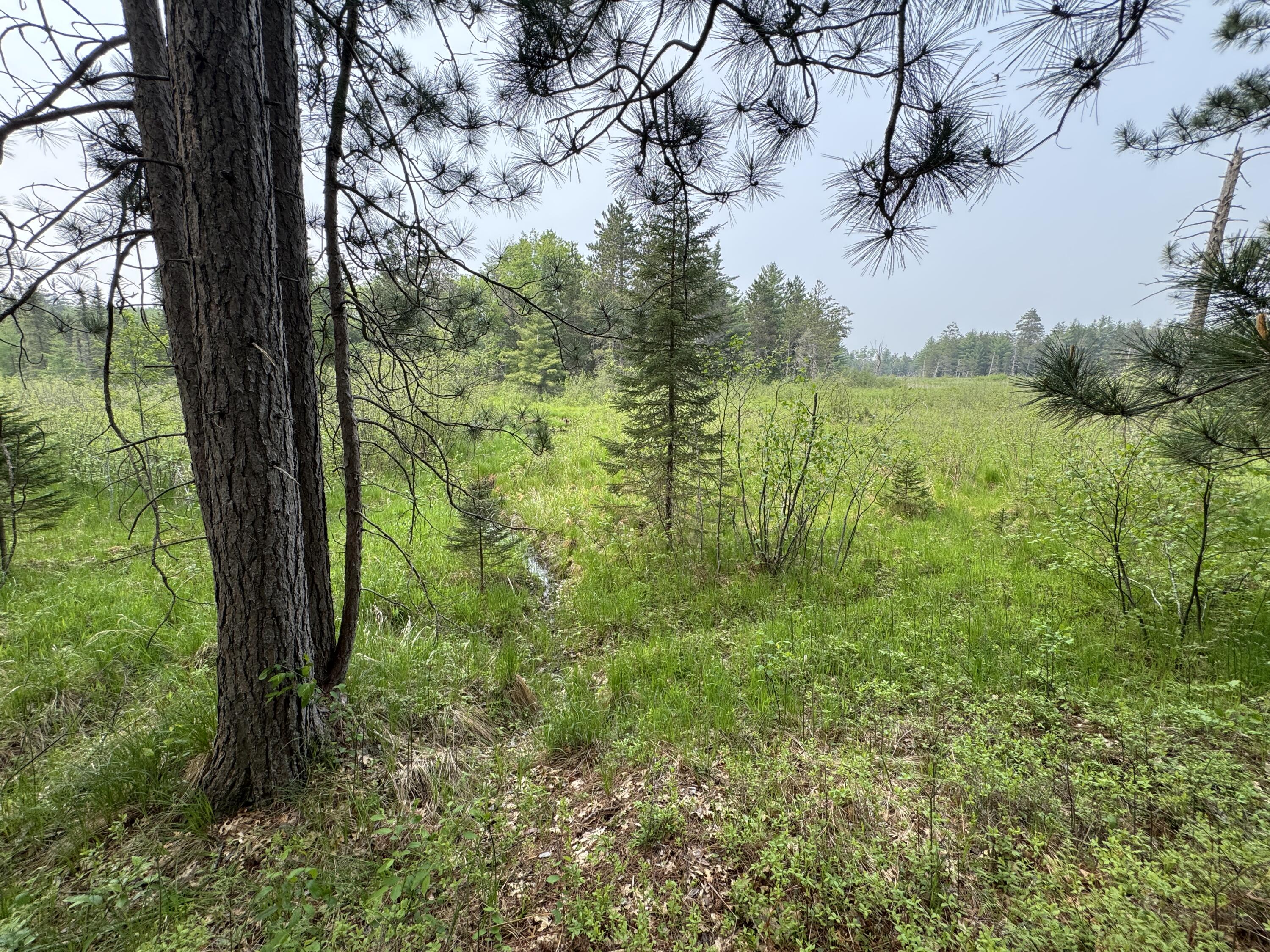 Parcel B Cherry Creek Trail Property Photo 22