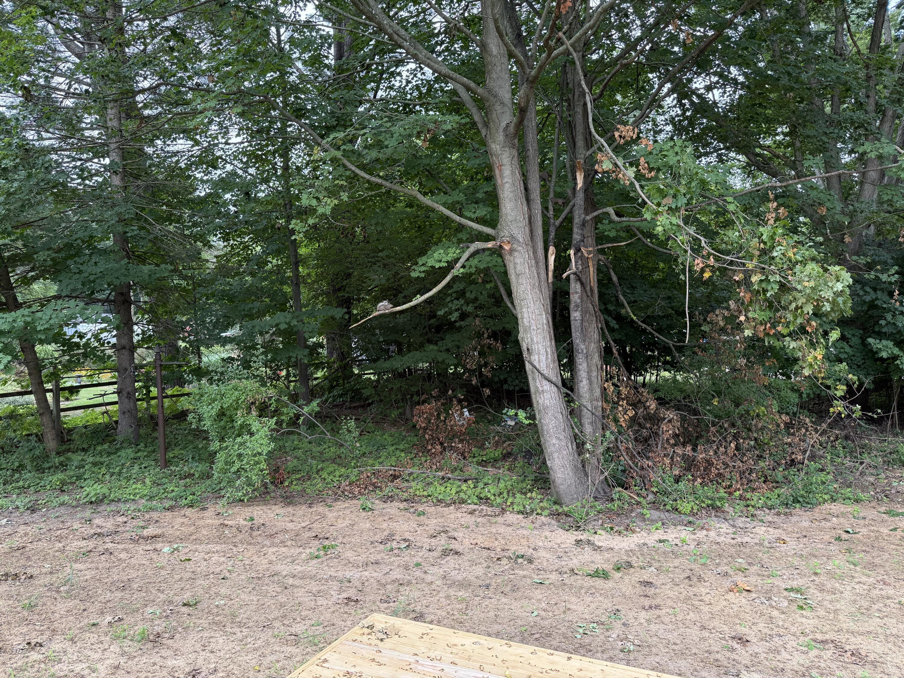 605 Spring Street Property Photo 23