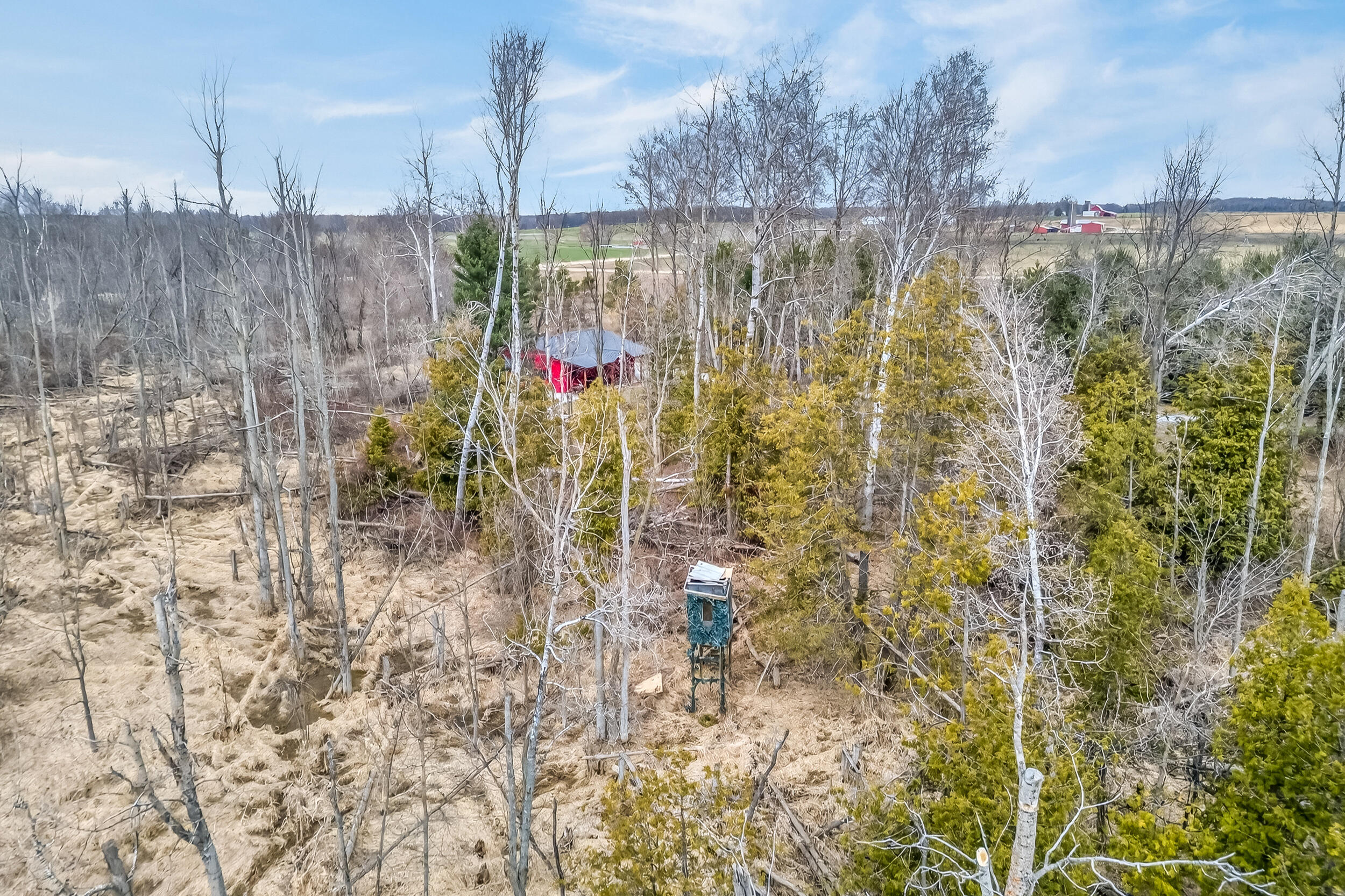 875 E Jackson Road Property Photo 42