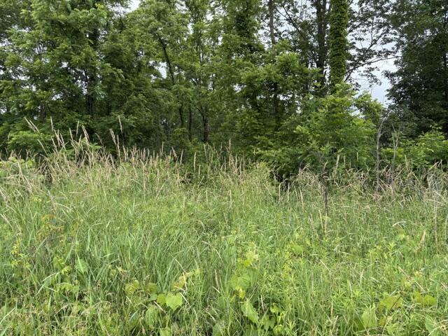 Vl 56th Street Lot C Property Photo 3