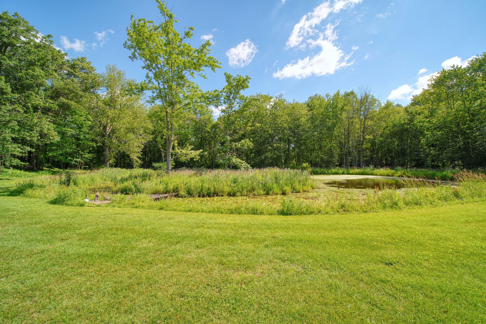 5995 N Sandstone Road Property Photo 55