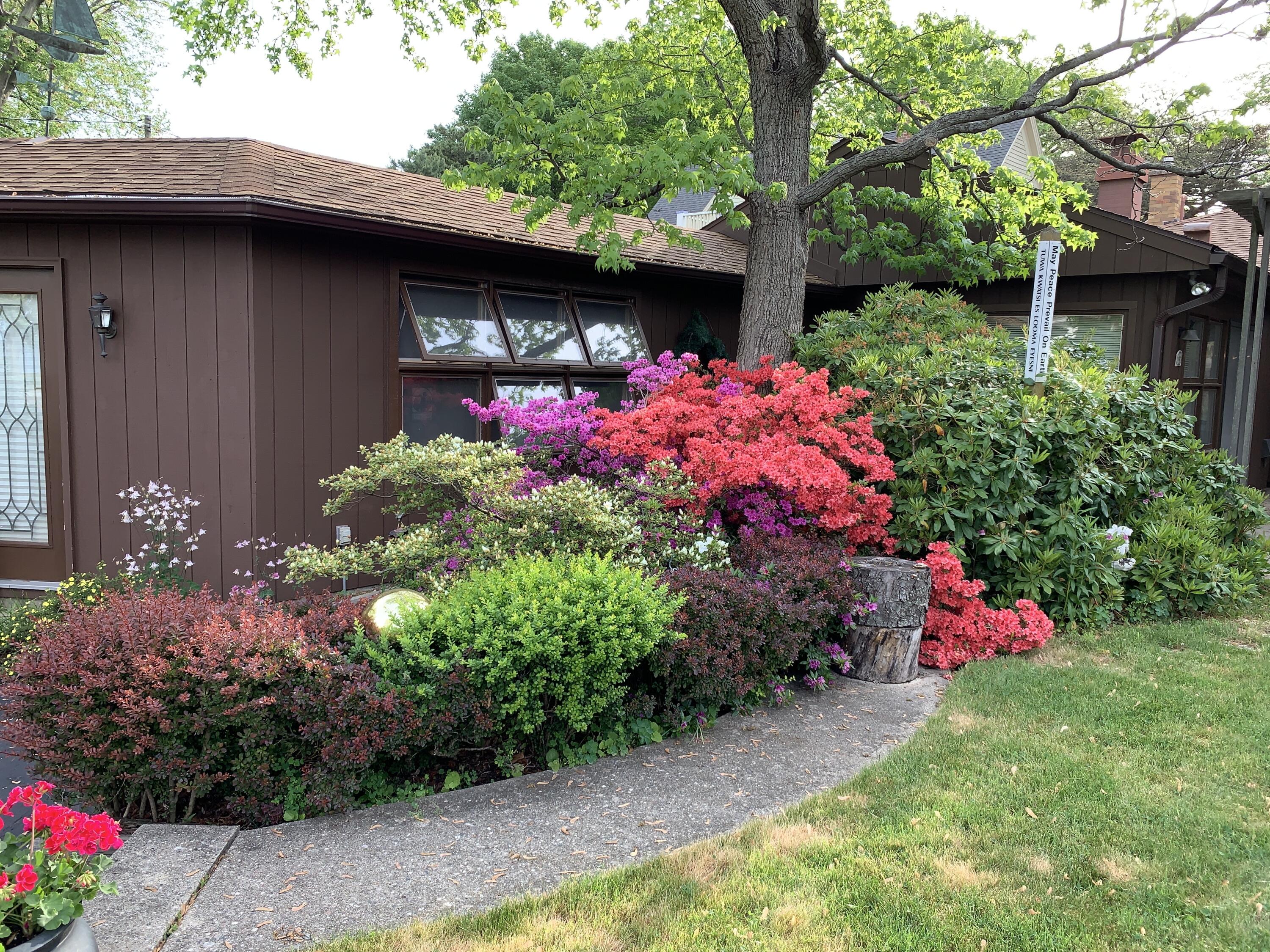51 Pine Street Property Photo 42