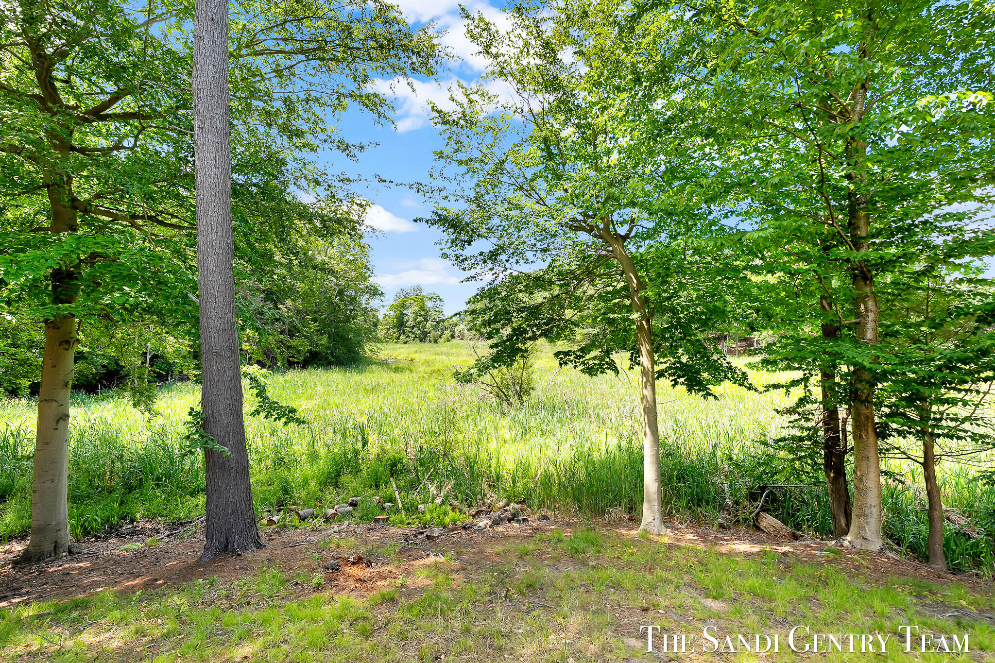 931 Bluff Creek Drive 21 Property Photo 44