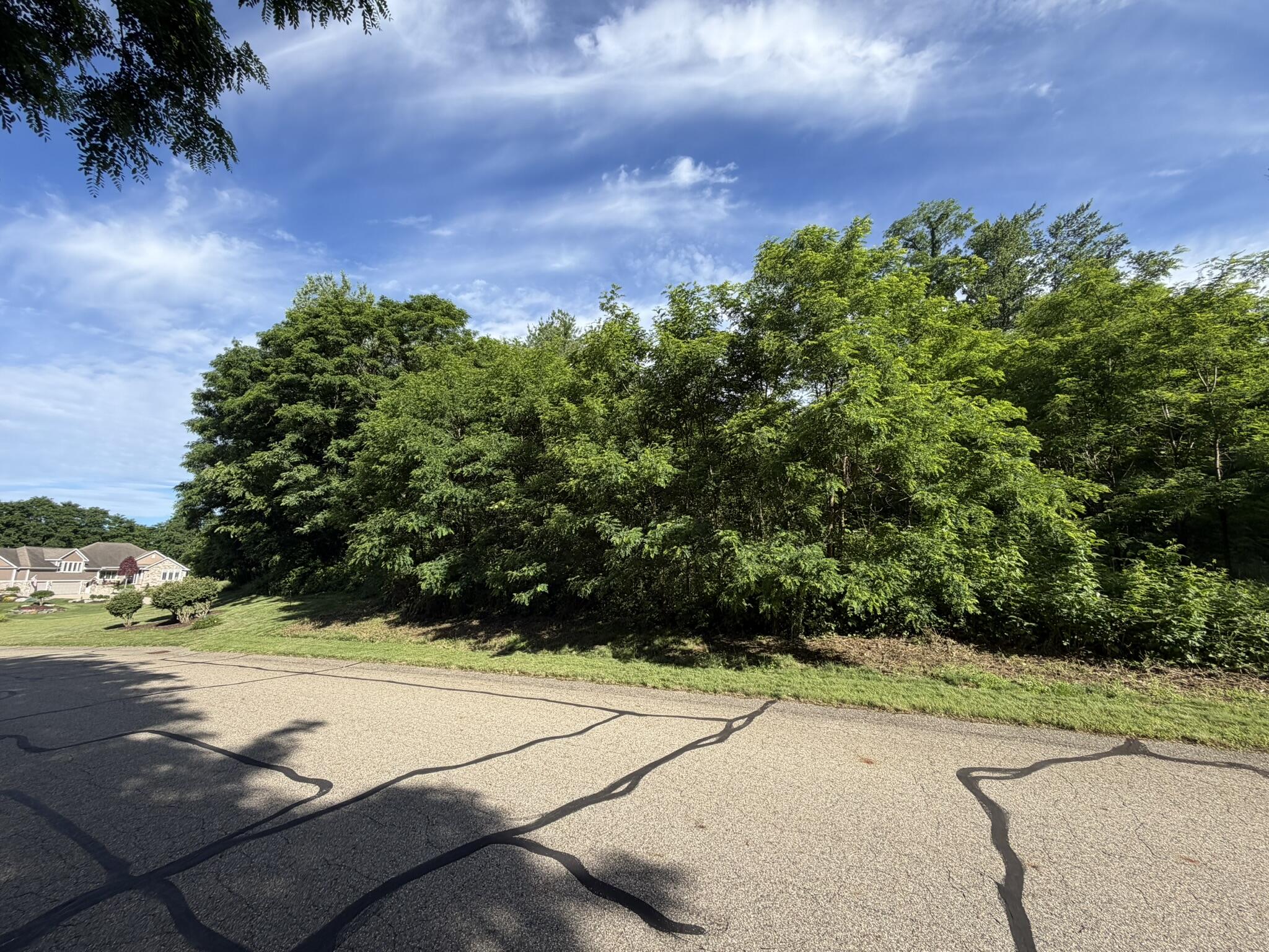15295 Alister Mackenzie Avenue Property Photo 14