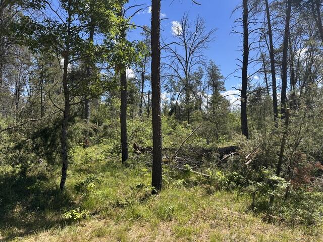 164 W 10 Mile Property Photo 46