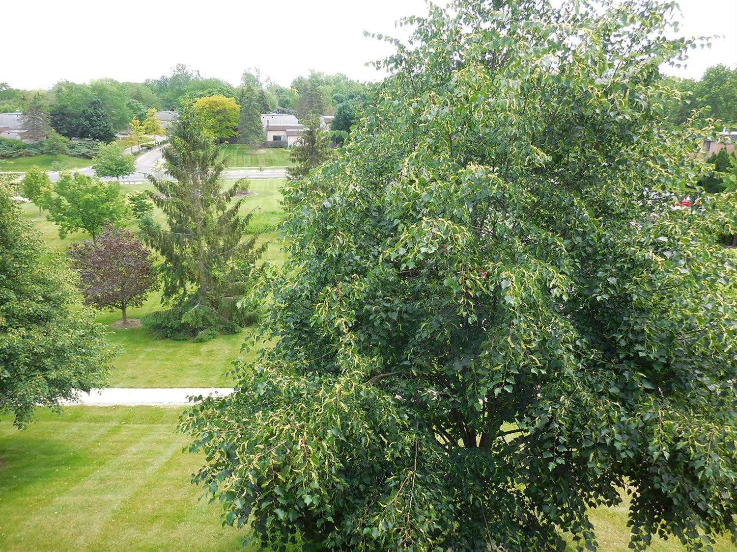 2116 Pauline Boulevard 302 Property Photo 10