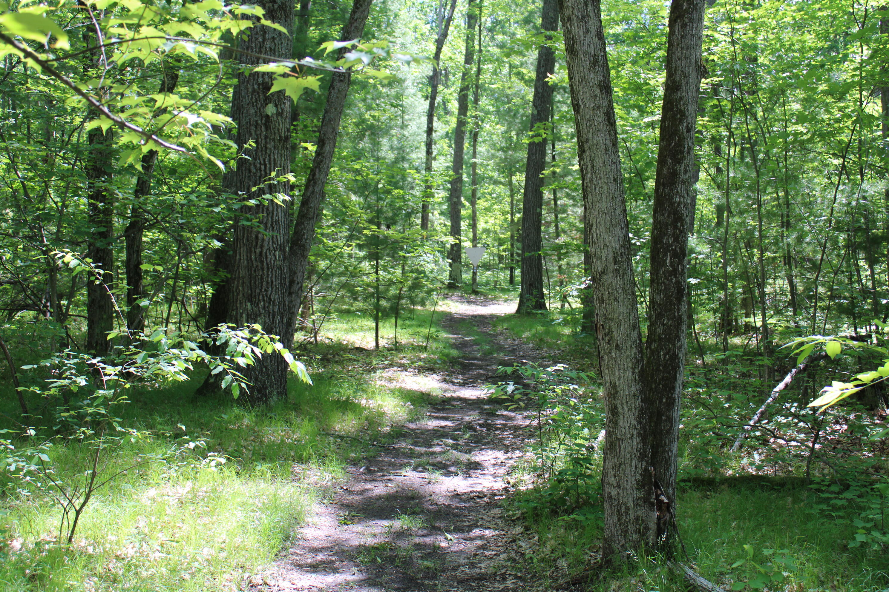 11870 Bayer Road Property Photo 37