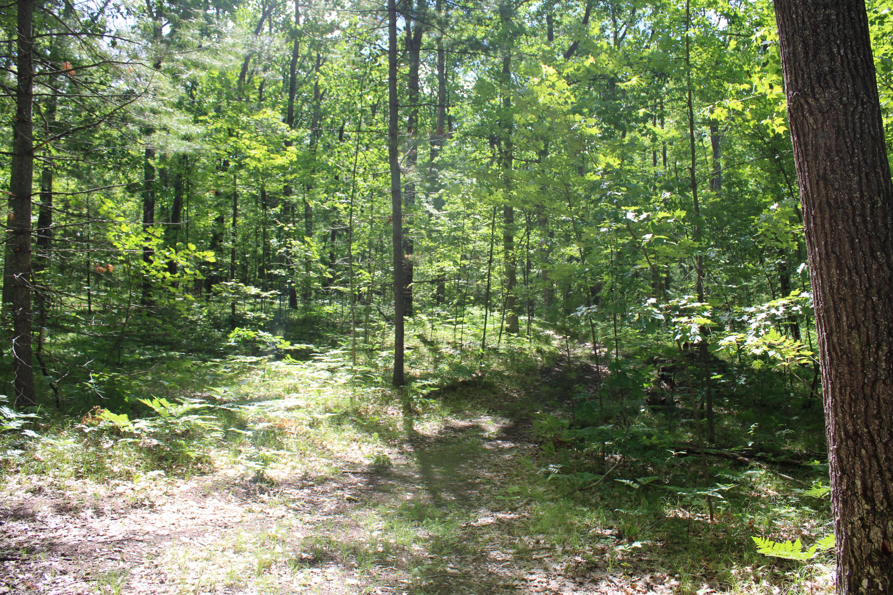 11870 Bayer Road Property Photo 38
