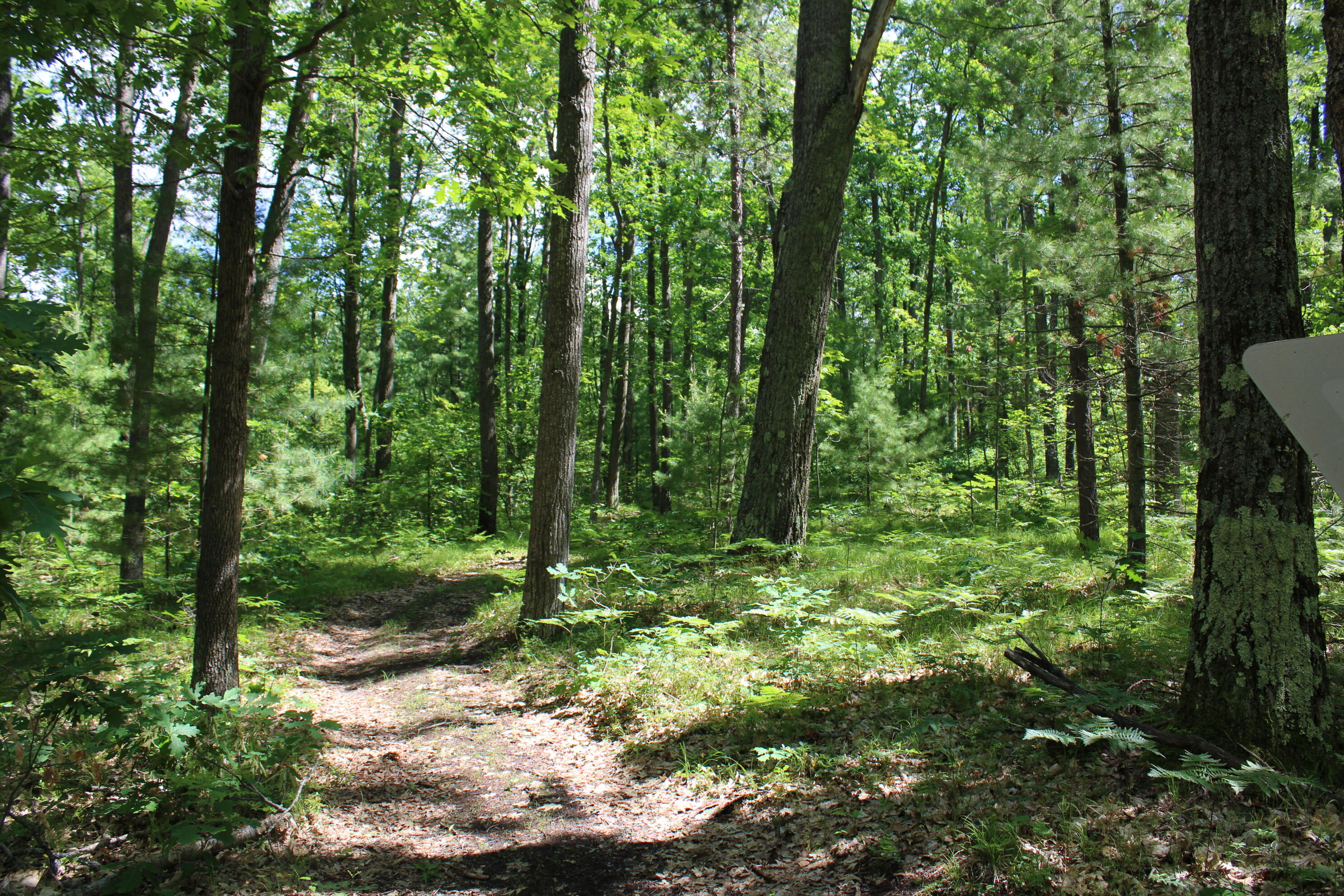 11870 Bayer Road Property Photo 39