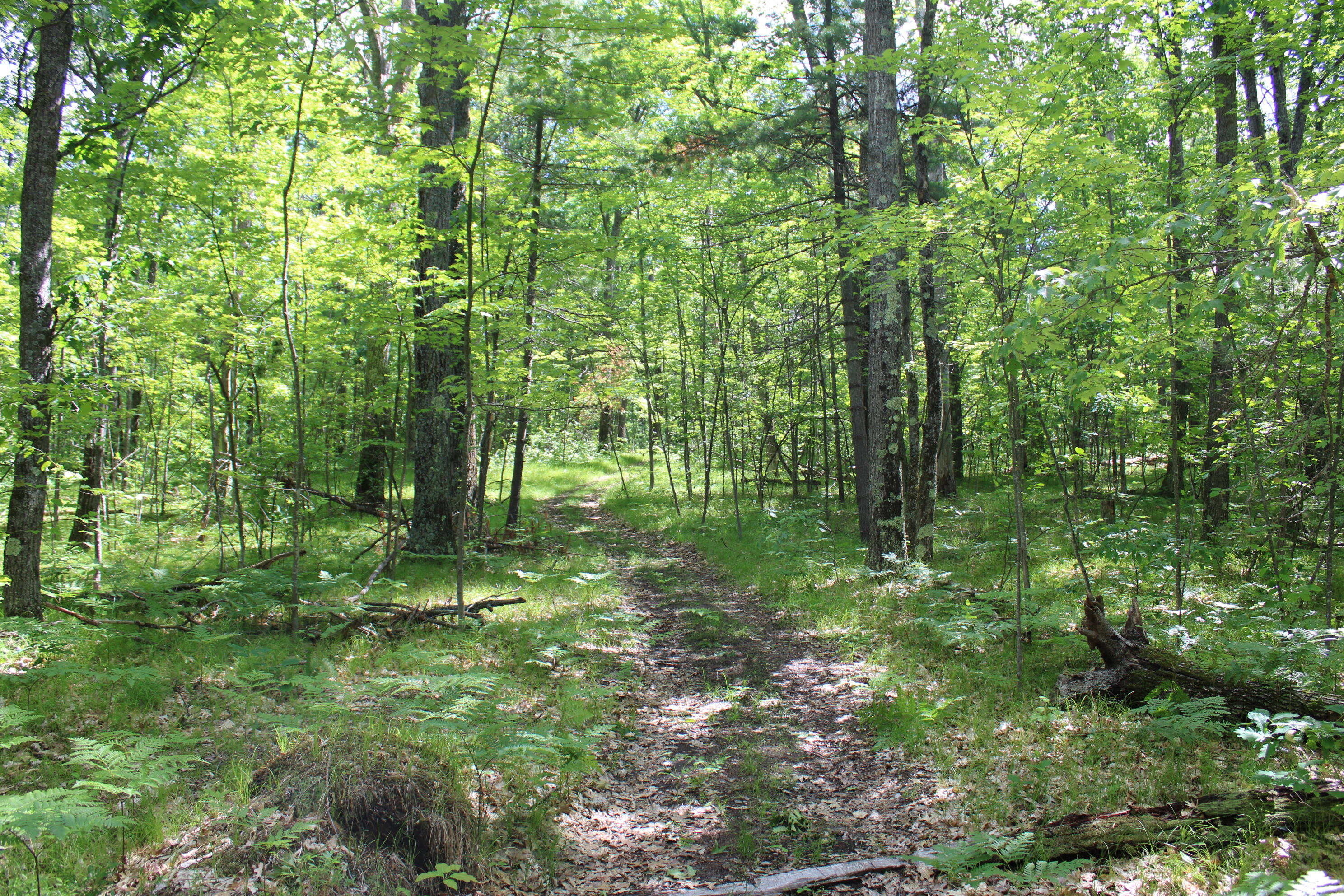 11870 Bayer Road Property Photo 40