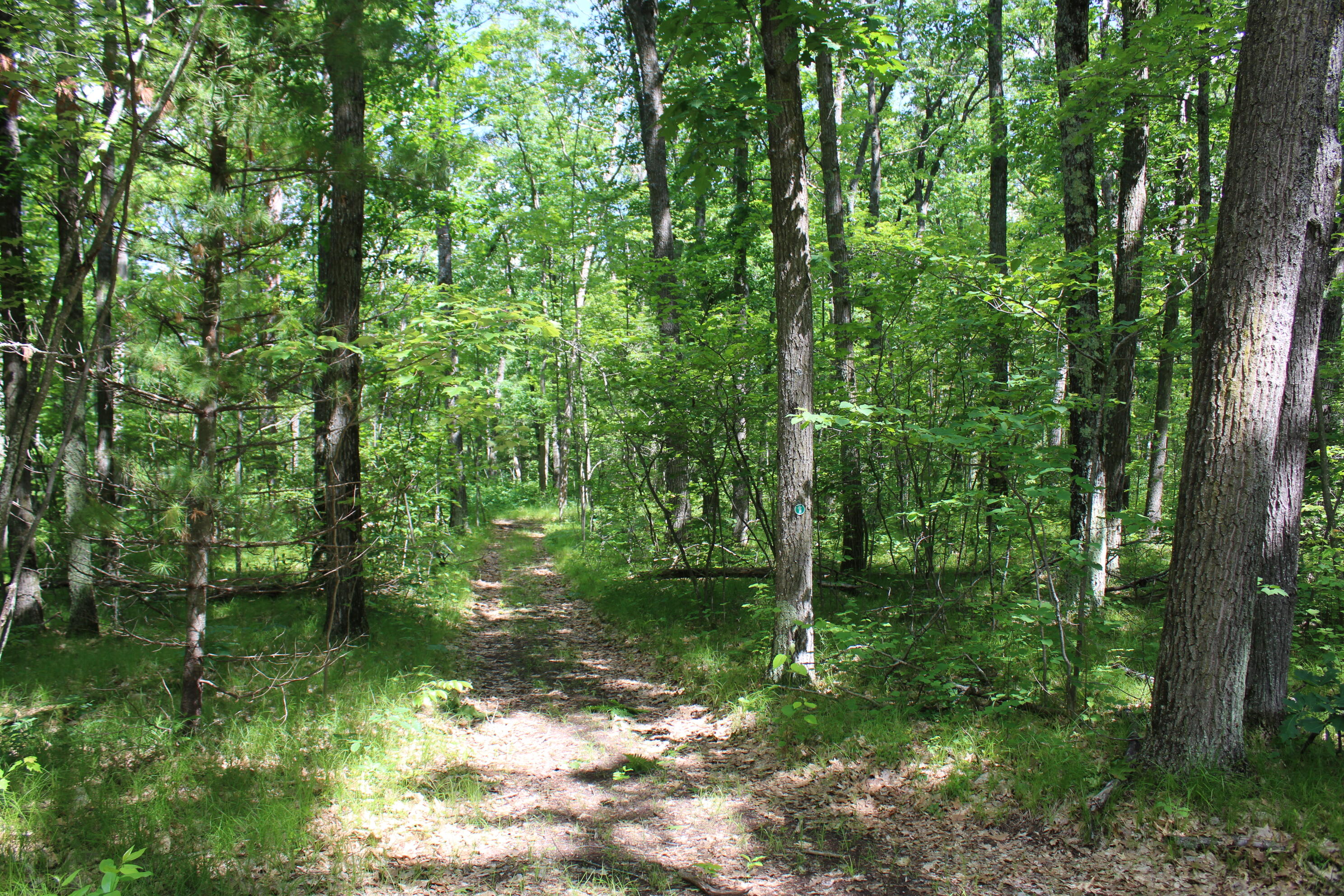 11870 Bayer Road Property Photo 41