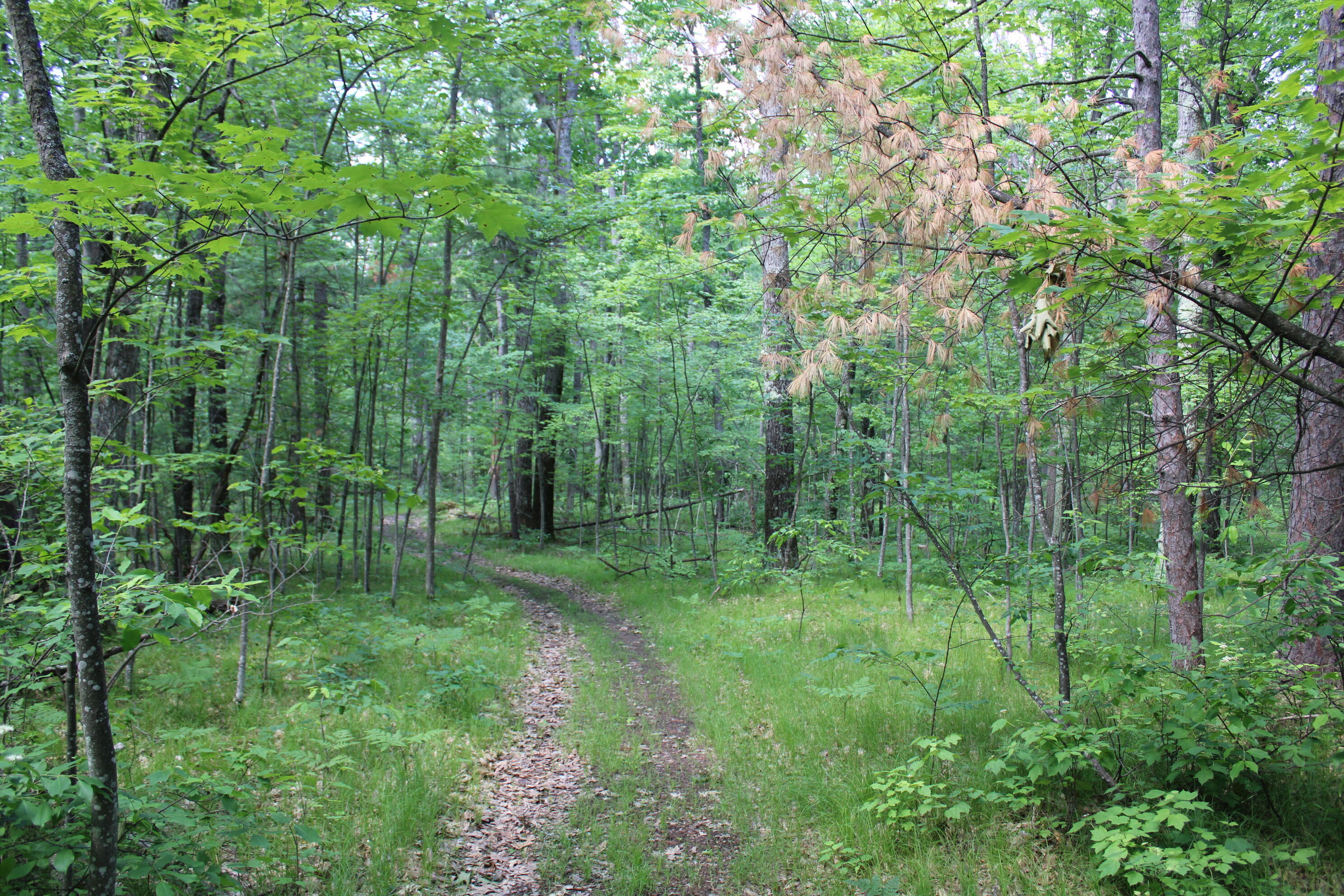11870 Bayer Road Property Photo 42