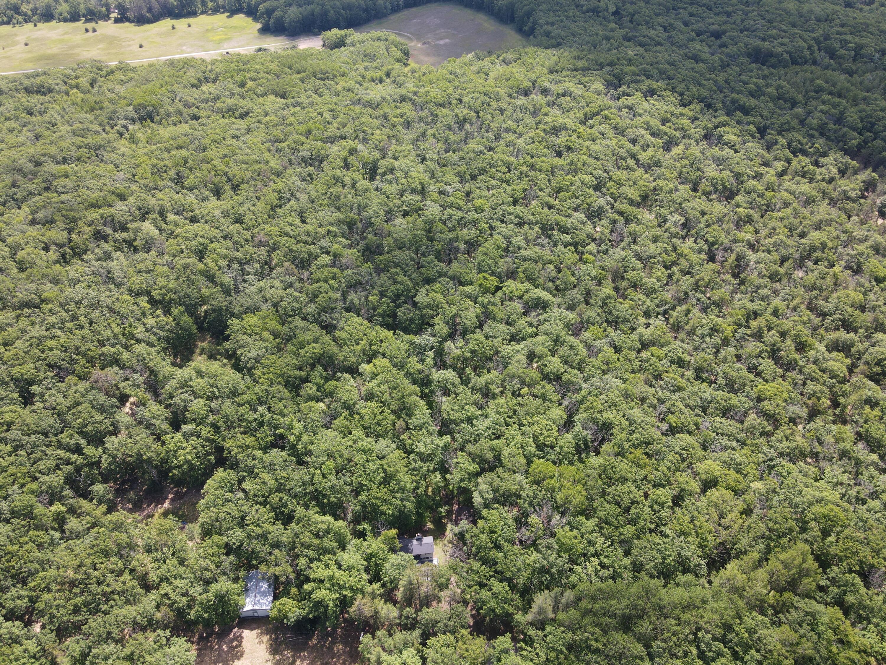 11870 Bayer Road Property Photo 44