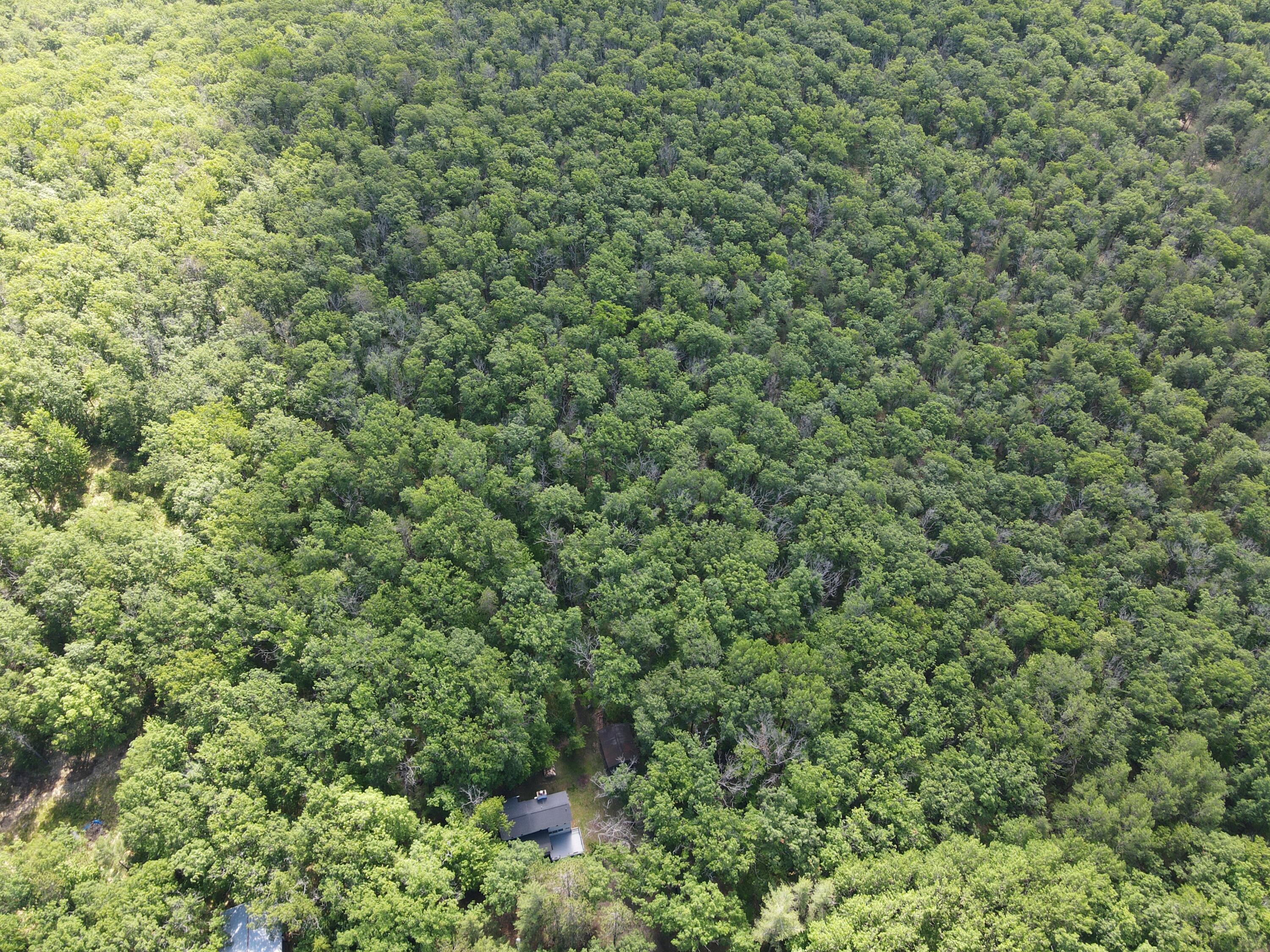 11870 Bayer Road Property Photo 47