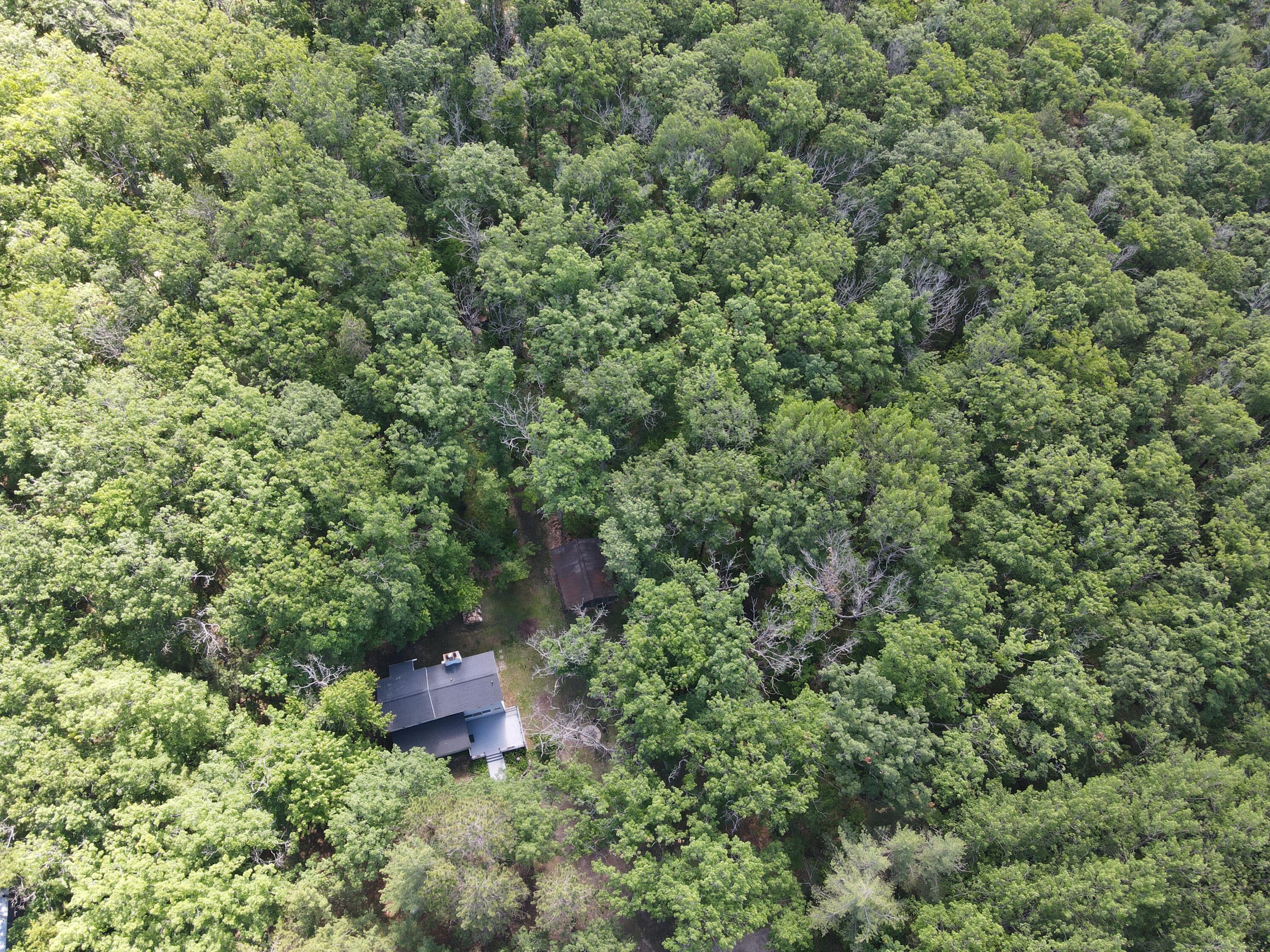 11870 Bayer Road Property Photo 48