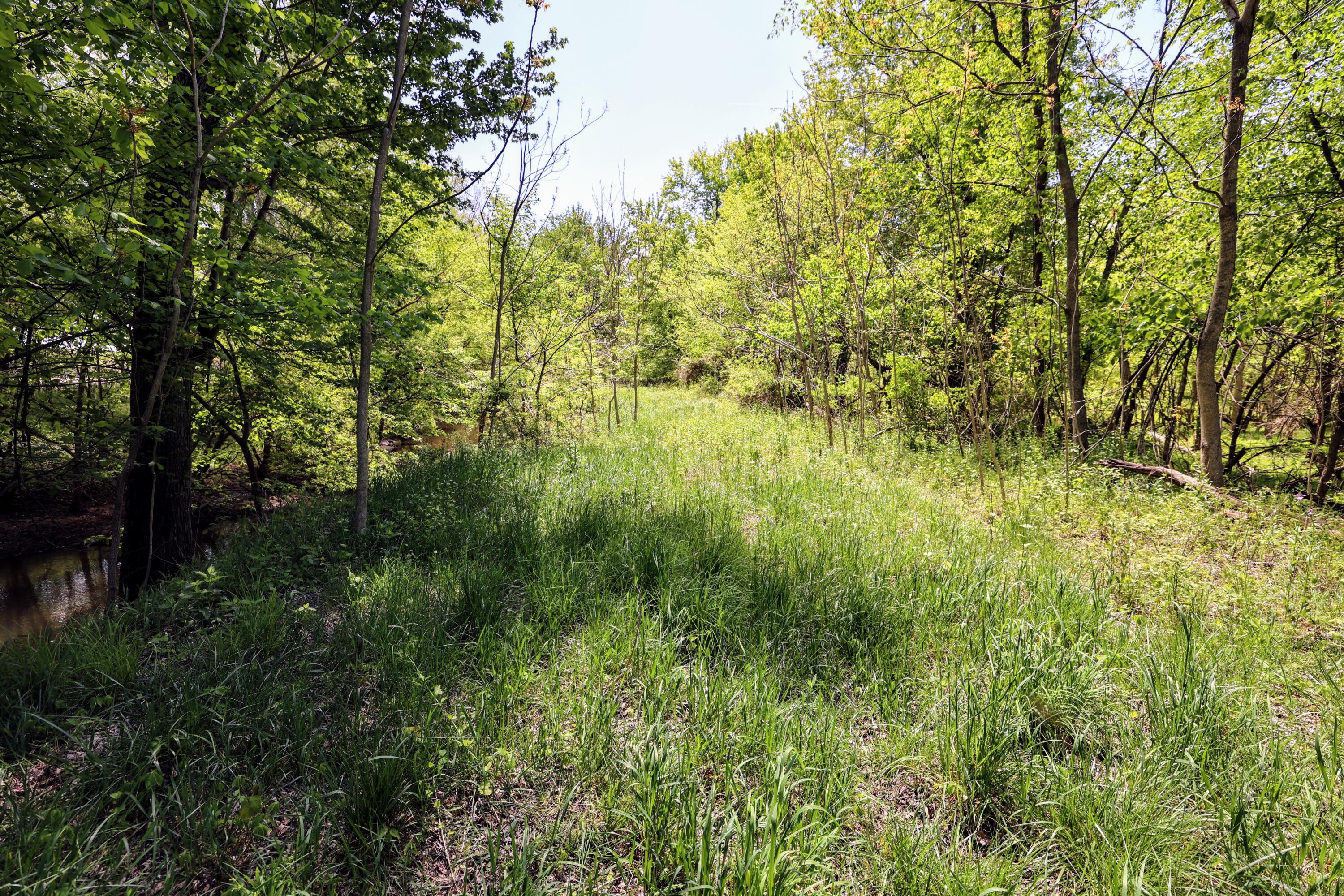 Vl 8 1/2 Mile Rd Property Photo 9