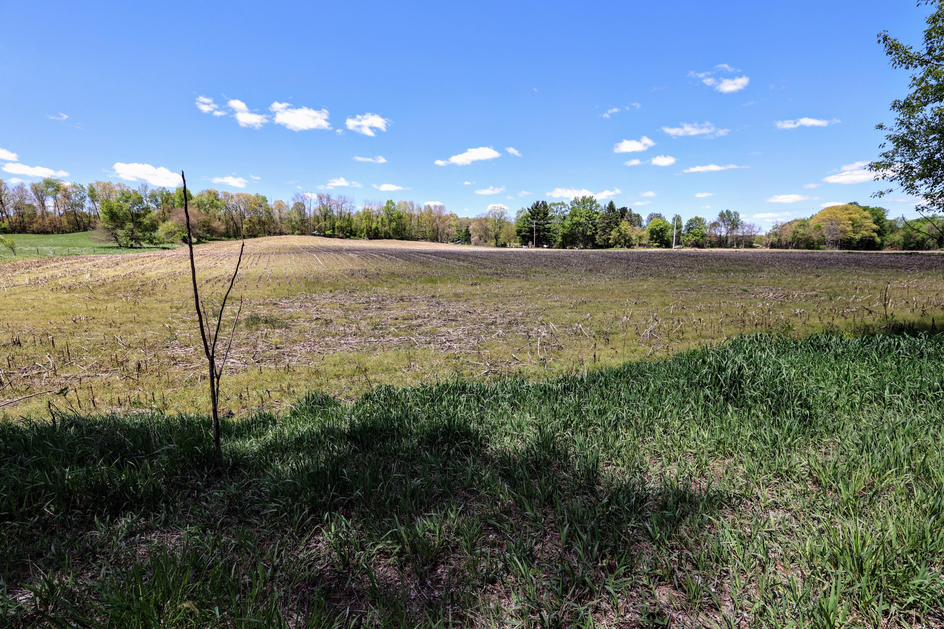 Vl 8 1/2 Mile Rd Property Photo 15