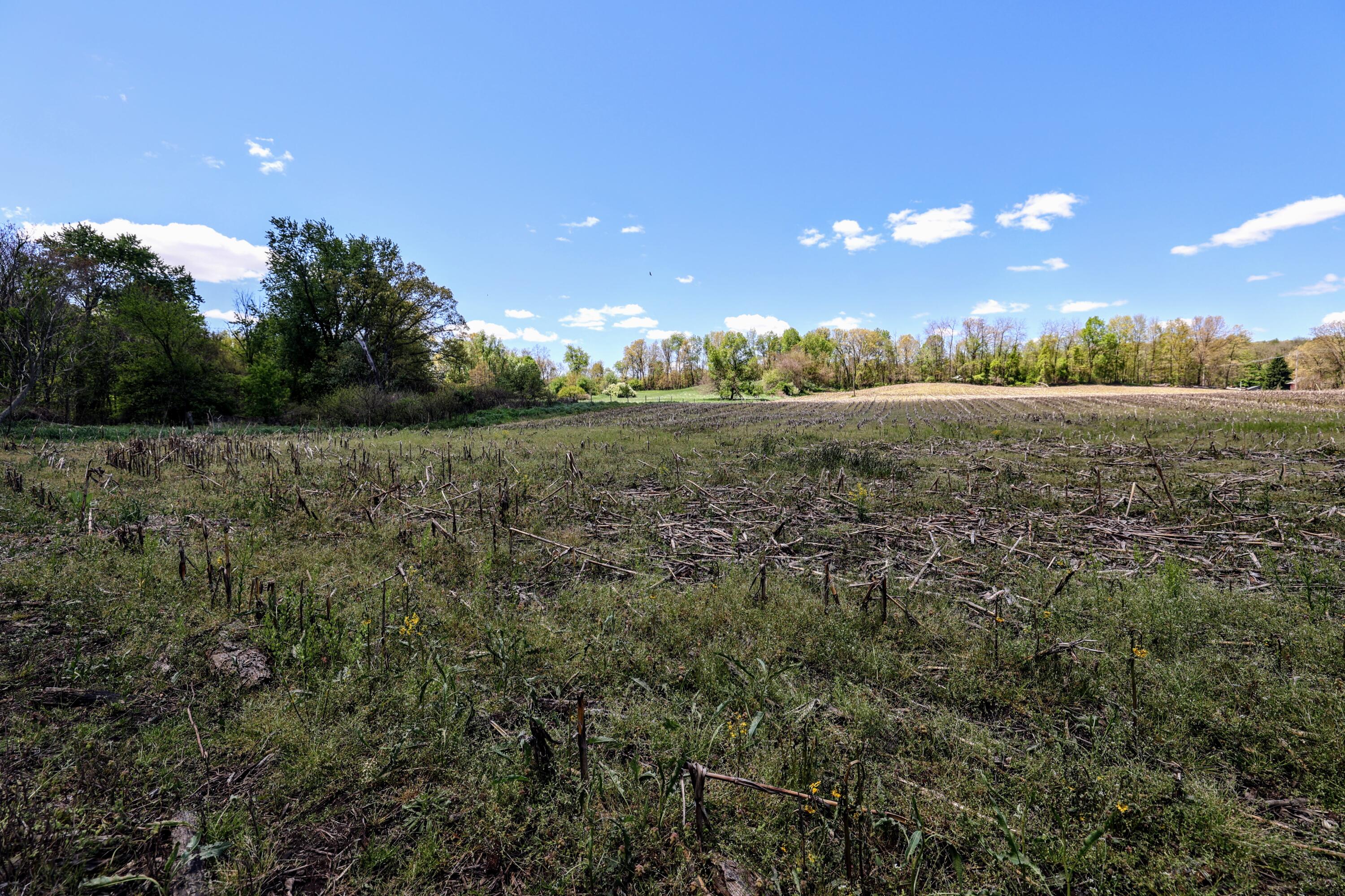 Vl 8 1/2 Mile Rd Property Photo 16
