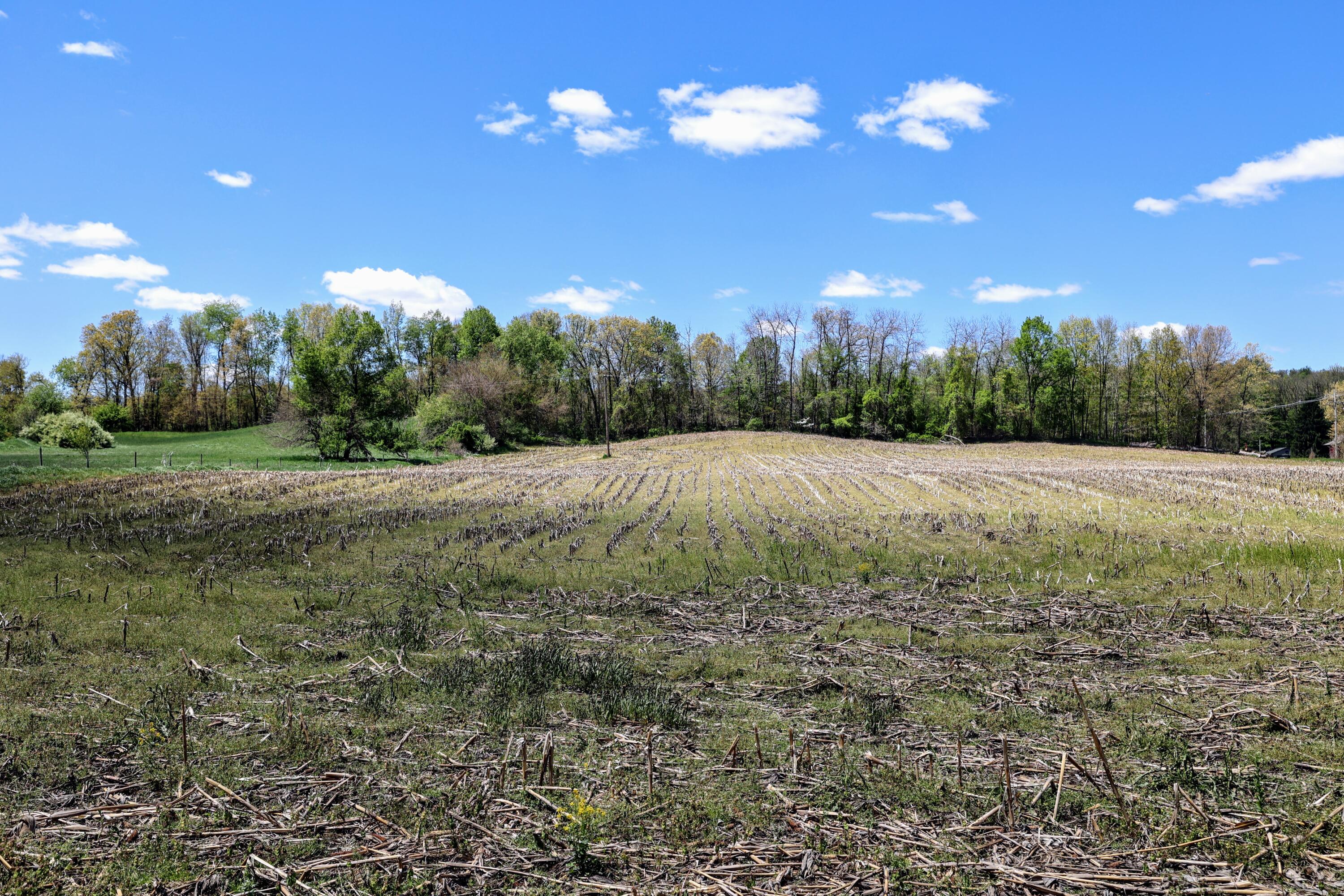 Vl 8 1/2 Mile Rd Property Photo 17