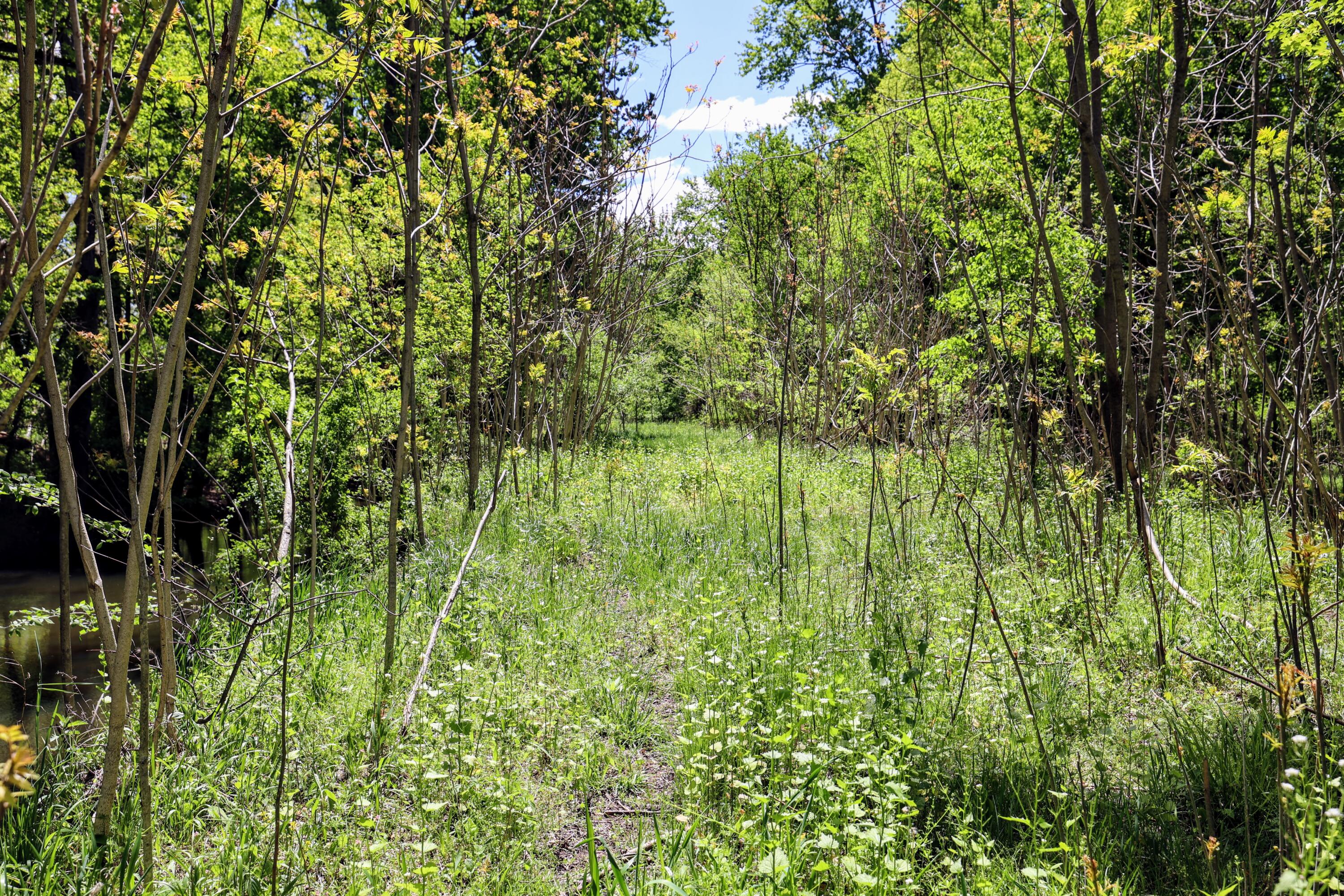 Vl 8 1/2 Mile Rd Property Photo 21