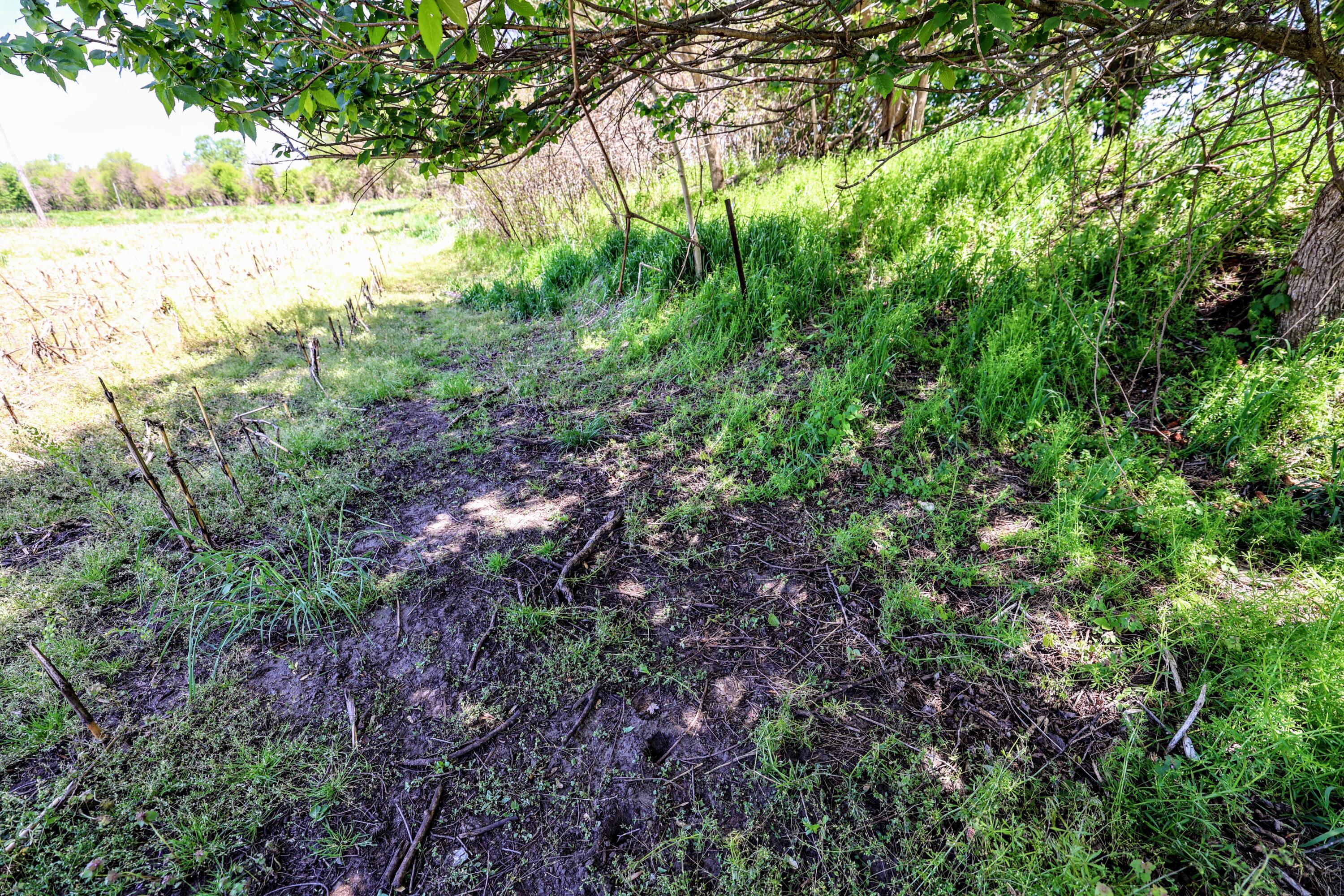Vl 8 1/2 Mile Rd Property Photo 29