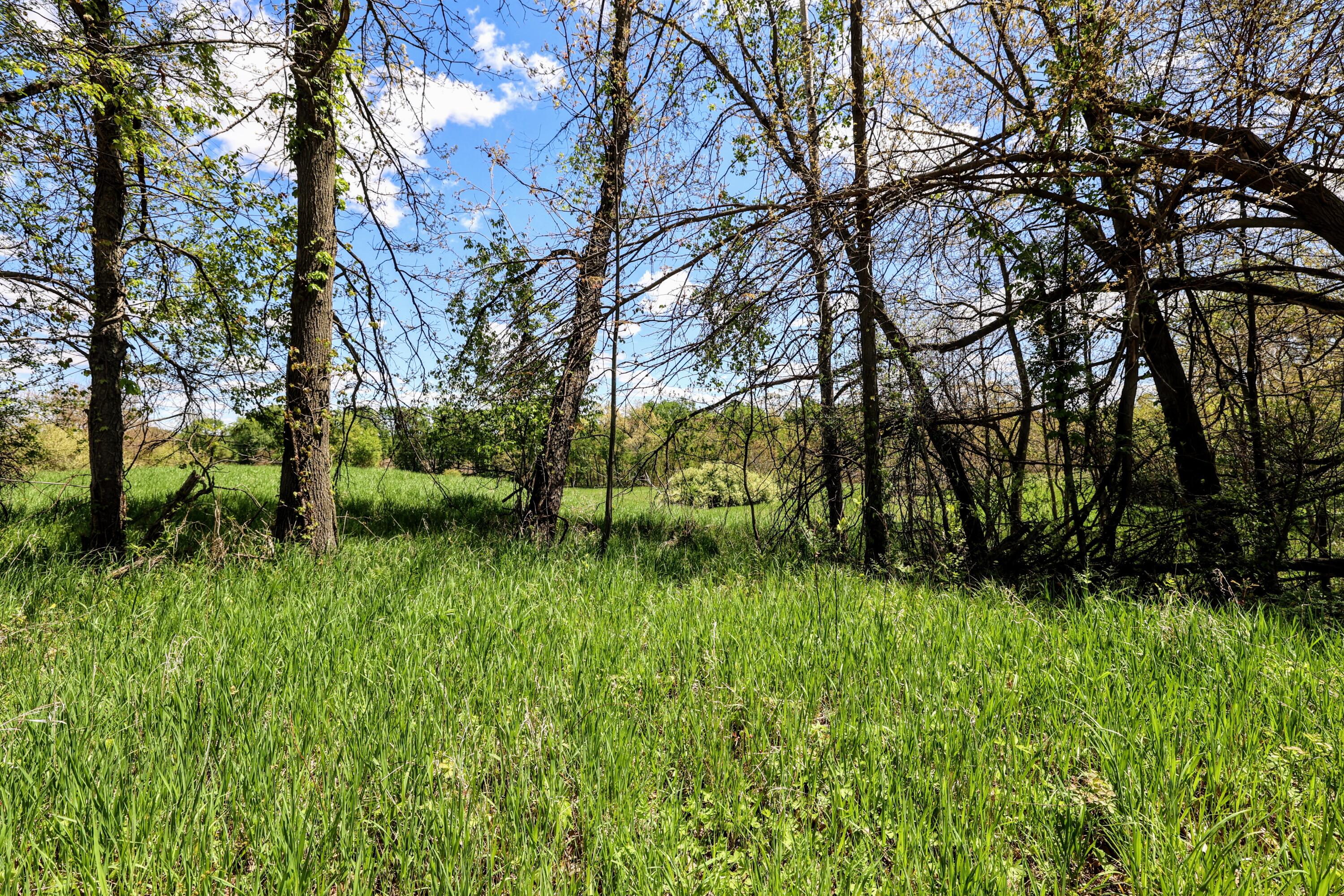 Vl 8 1/2 Mile Rd Property Photo 35