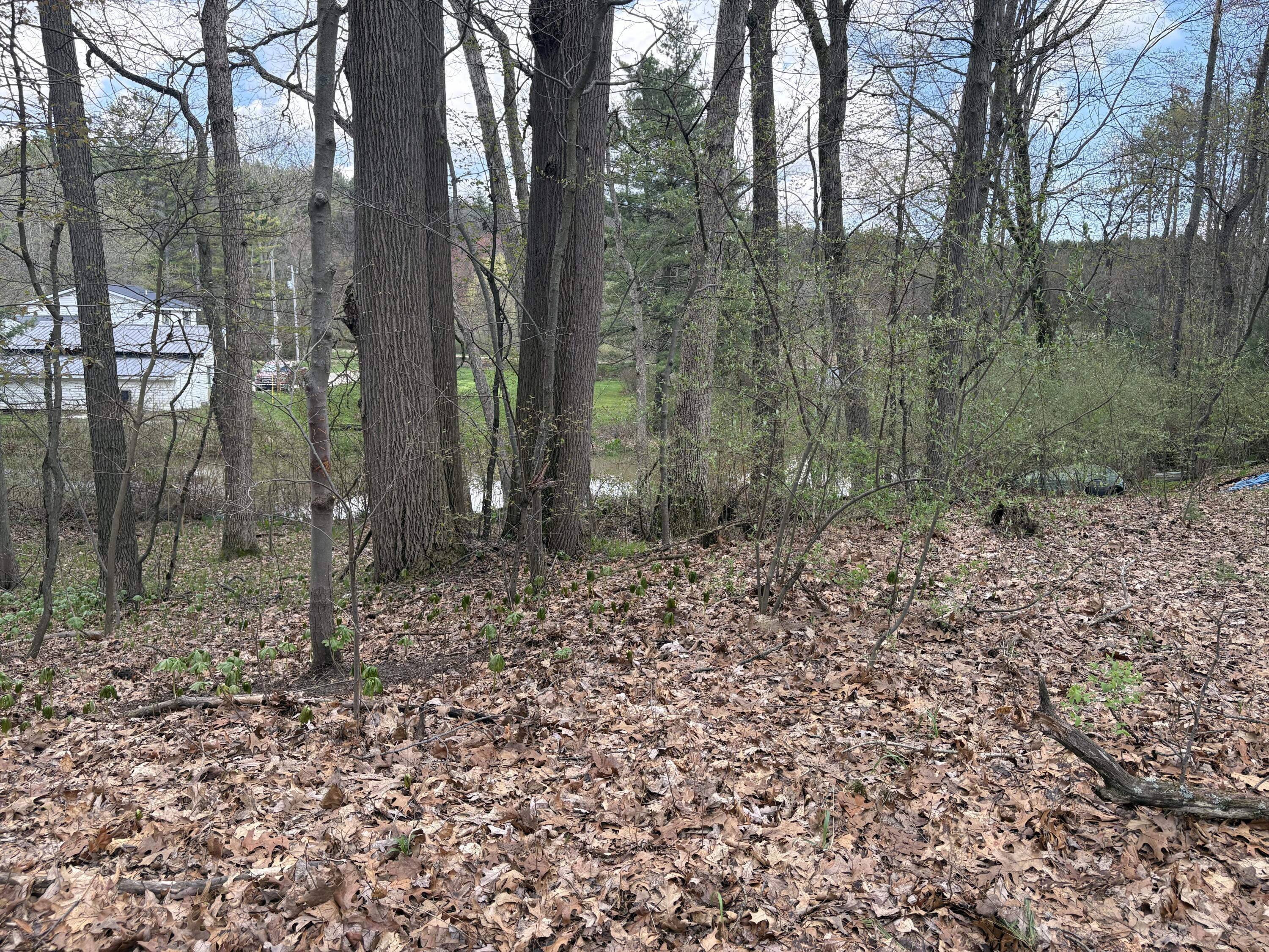 8091 Poplar Drive Property Photo 2