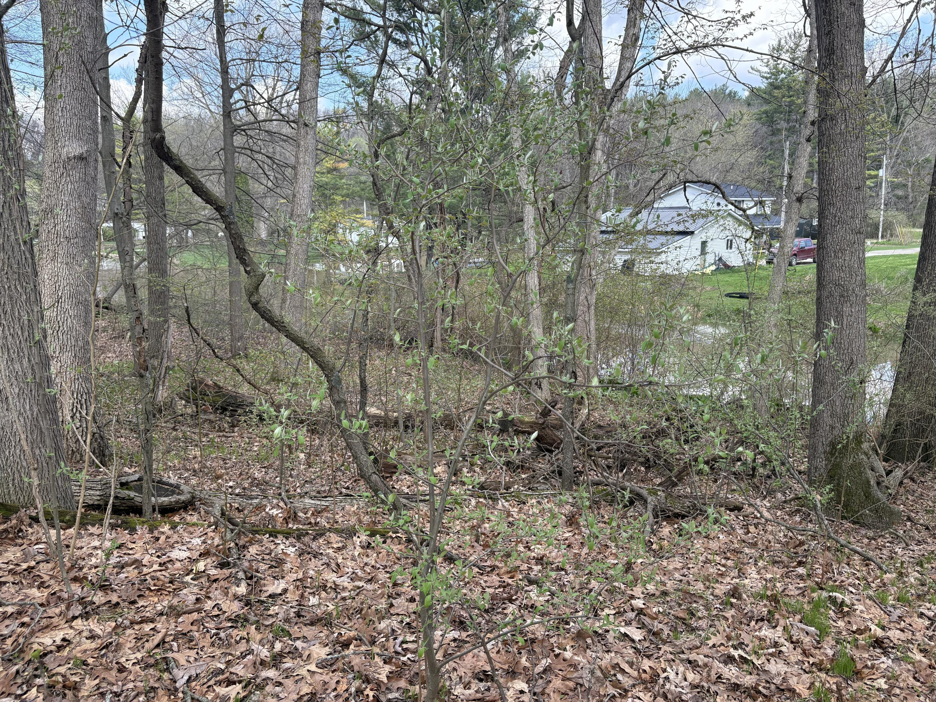 8091 Poplar Drive Property Photo 4