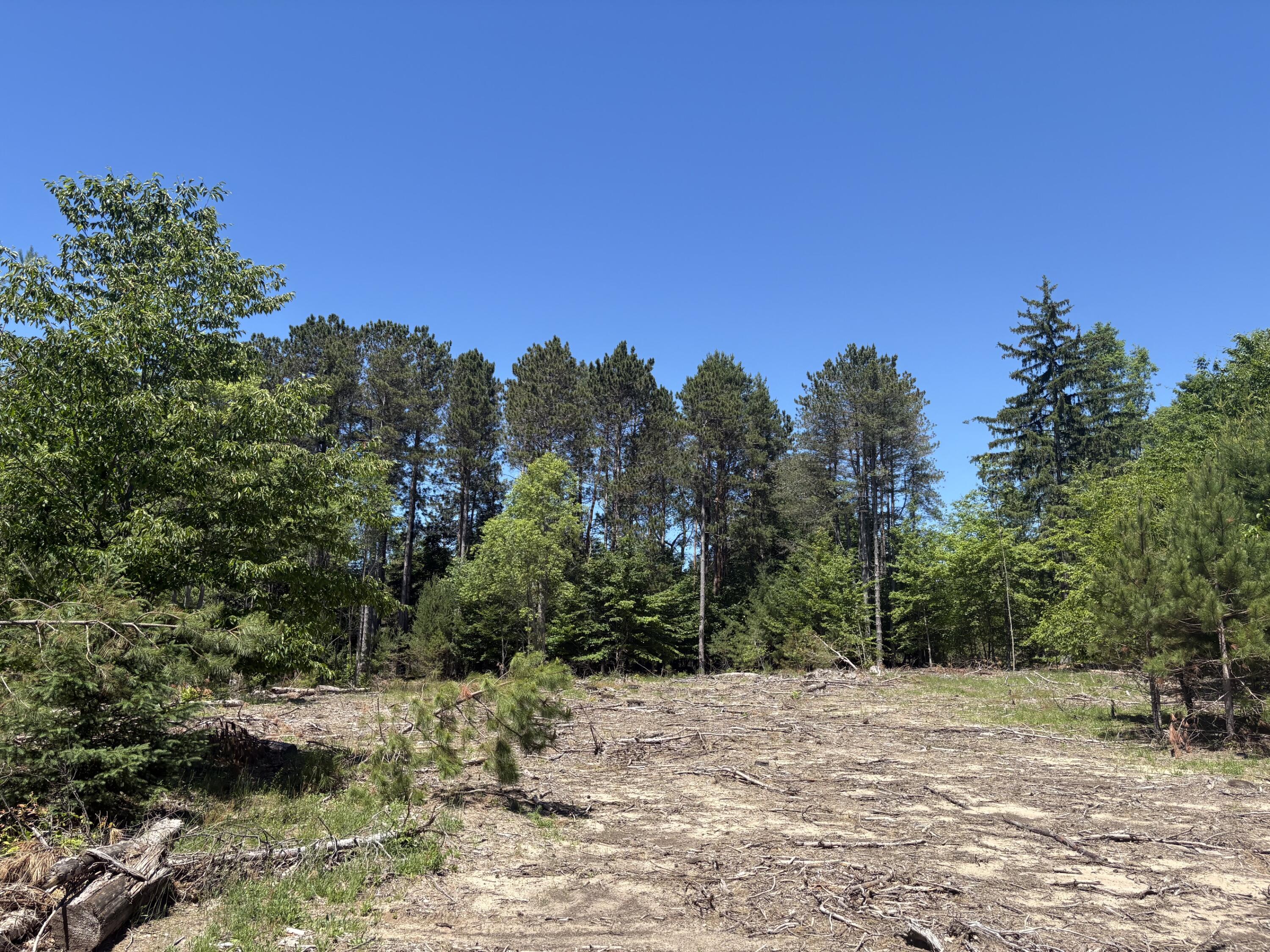 5.67 Acres Norconk Road Property Photo 4