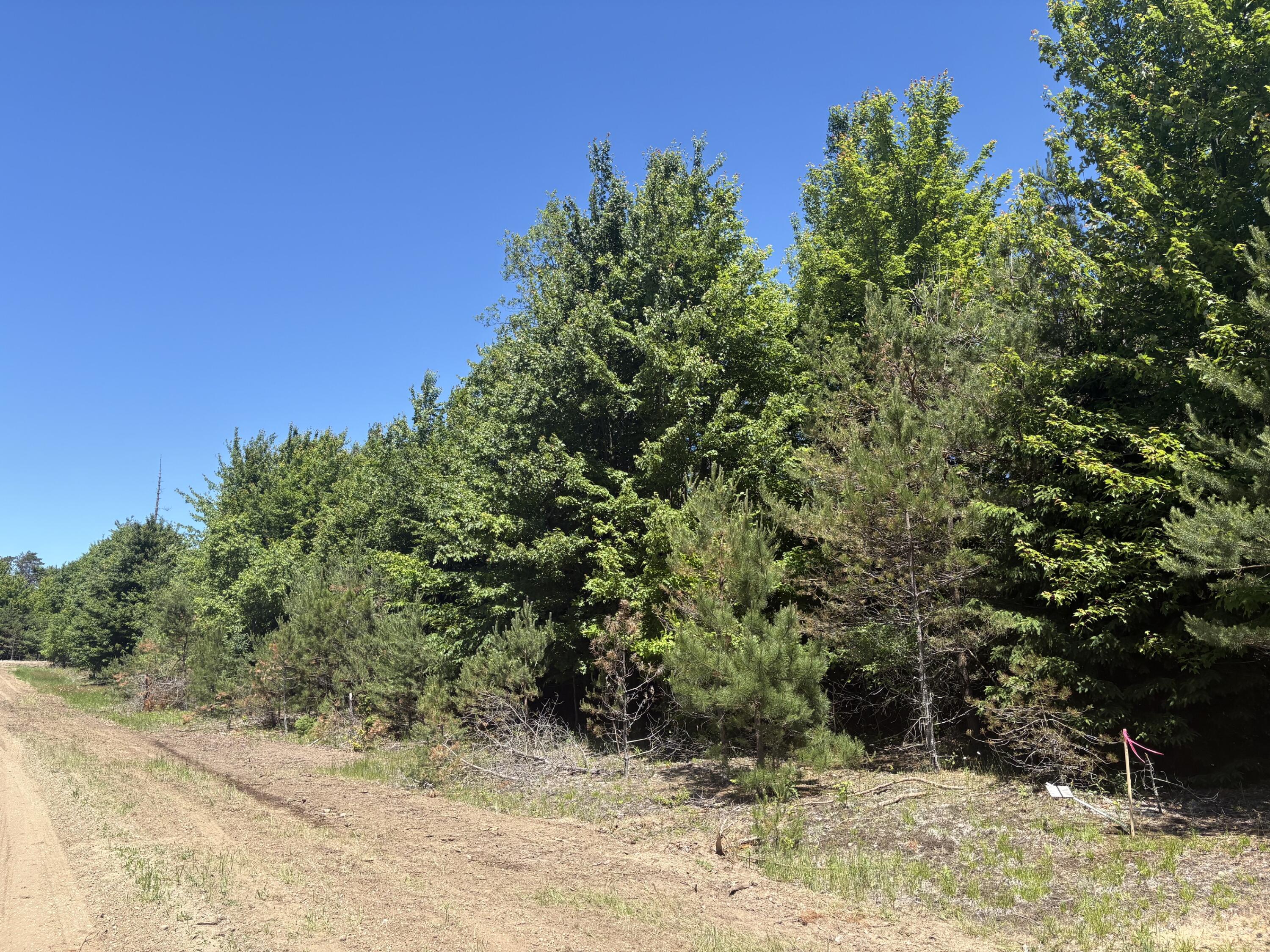 5.67 Acres Norconk Road Property Photo 6